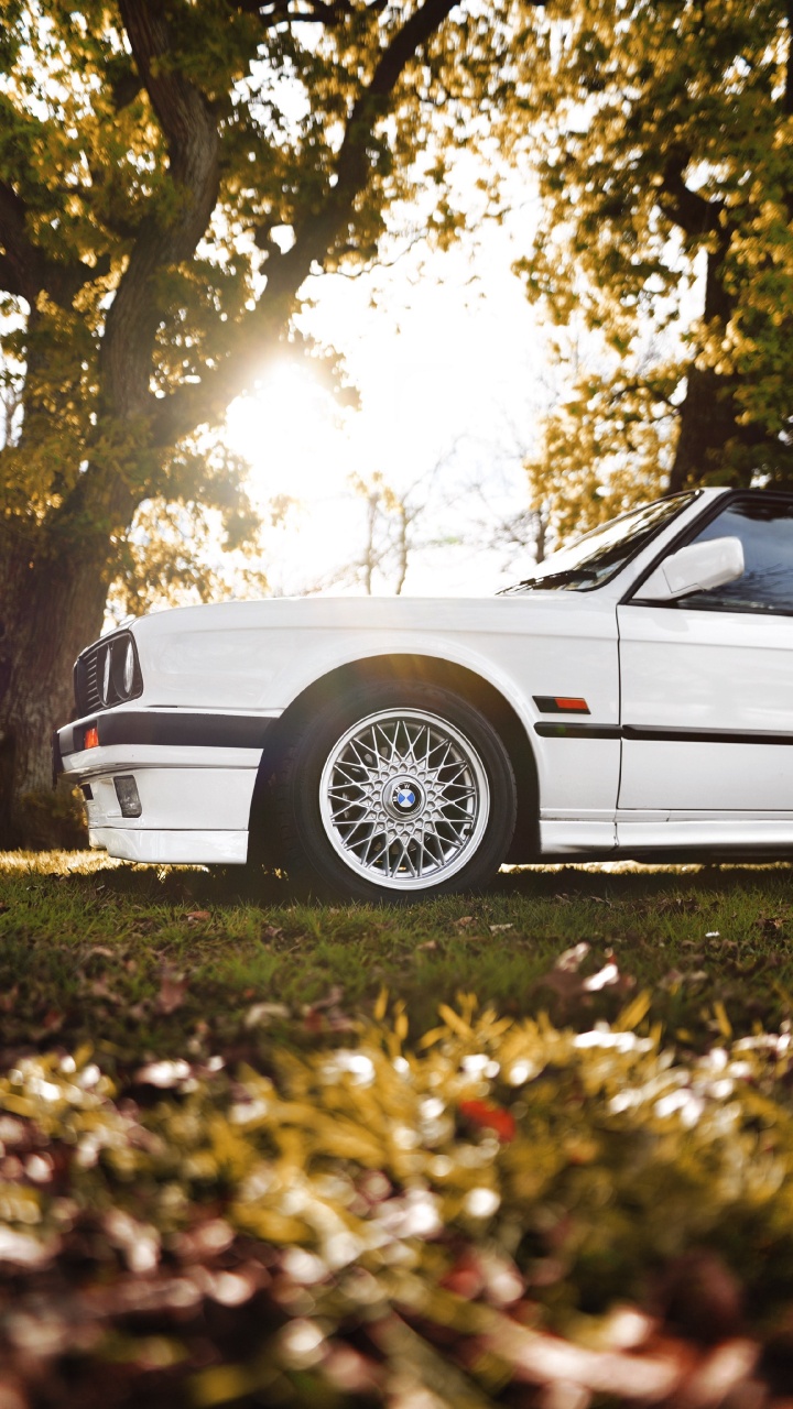 Обои колесо, дерево, обод, Литые диски, спица в разрешении 720x1280