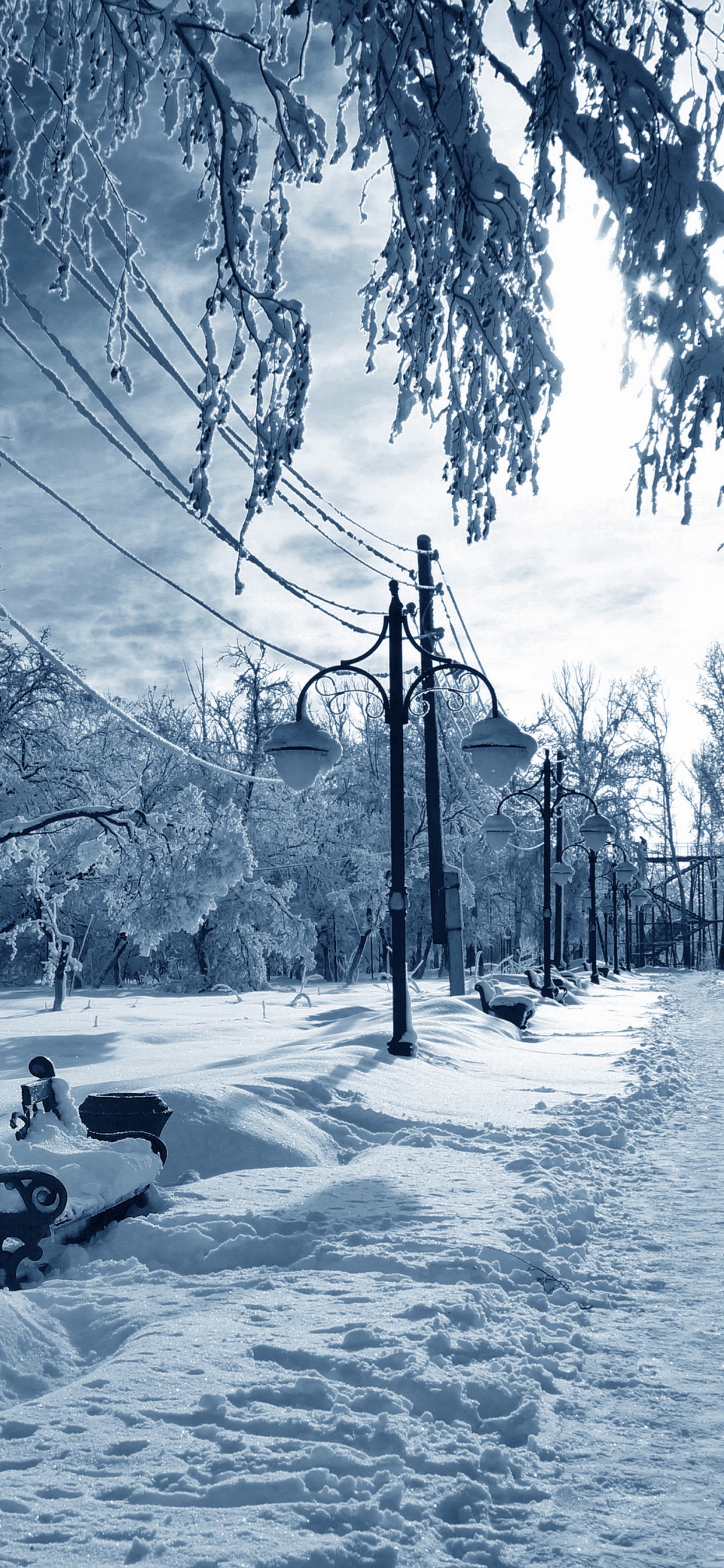 Обои снег, зима, дерево, природа, замораживание в разрешении 1242x2688