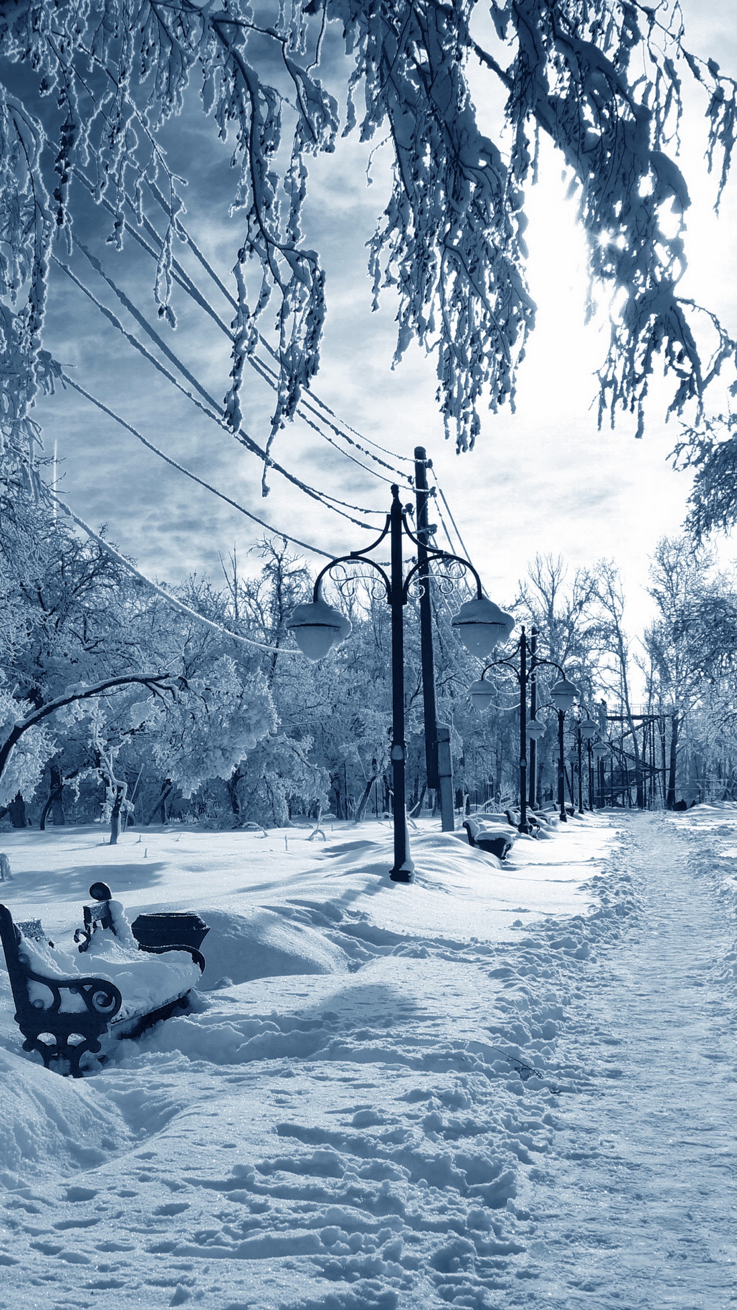 Обои снег, зима, дерево, природа, замораживание в разрешении 1440x2560