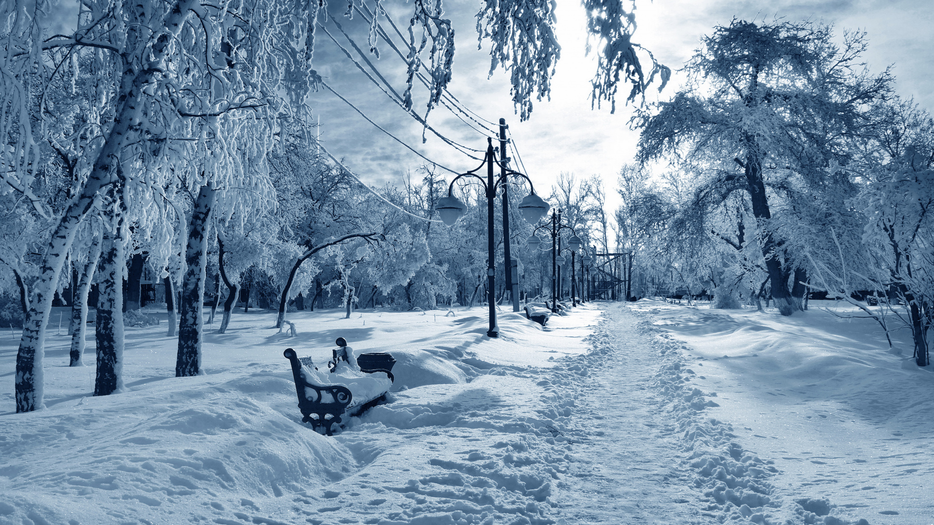 Обои снег, зима, дерево, природа, замораживание в разрешении 1920x1080