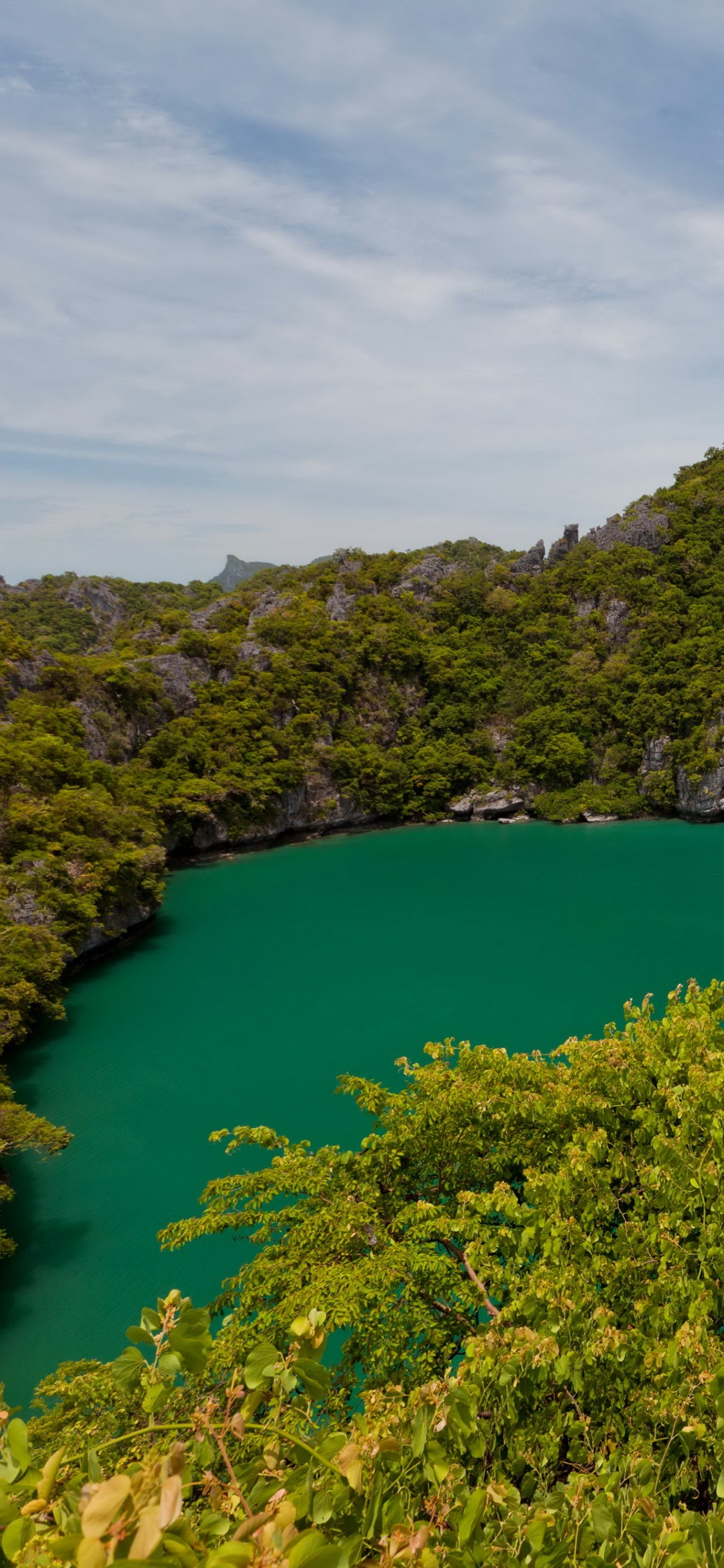 Обои природа, растительность, природный заповедник, озеро, гидроресурсы в разрешении 1125x2436