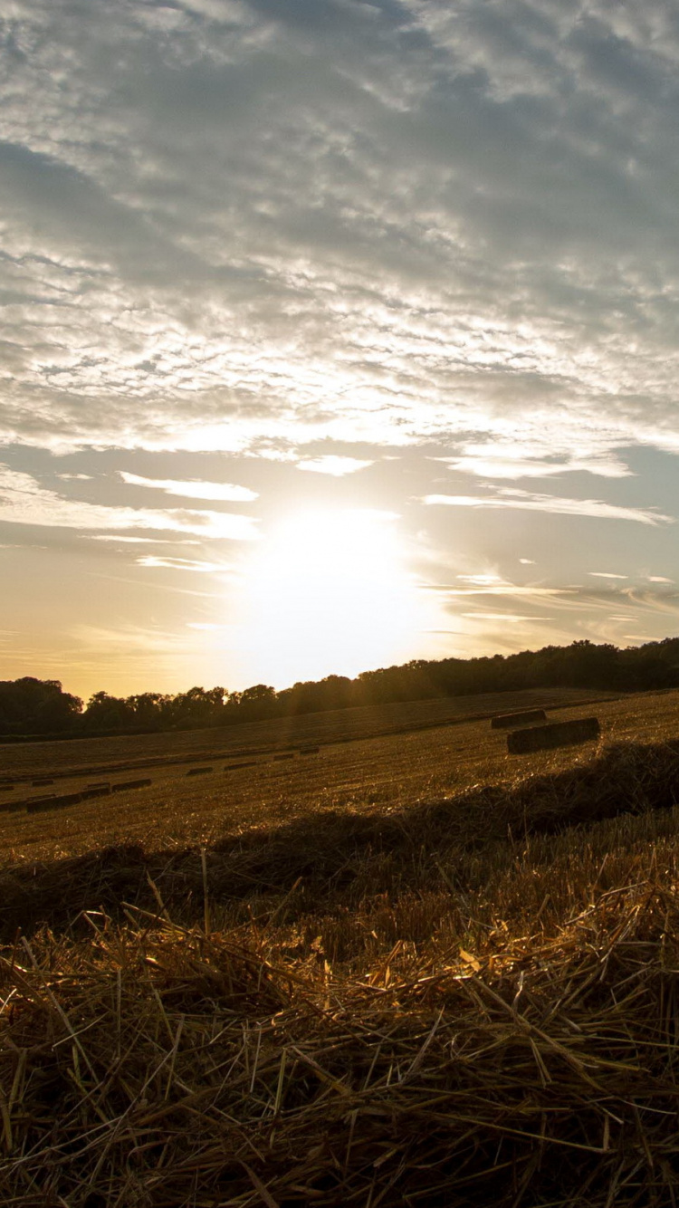 Обои природный ландшафт, природа, облако, горизонт, утро в разрешении 750x1334