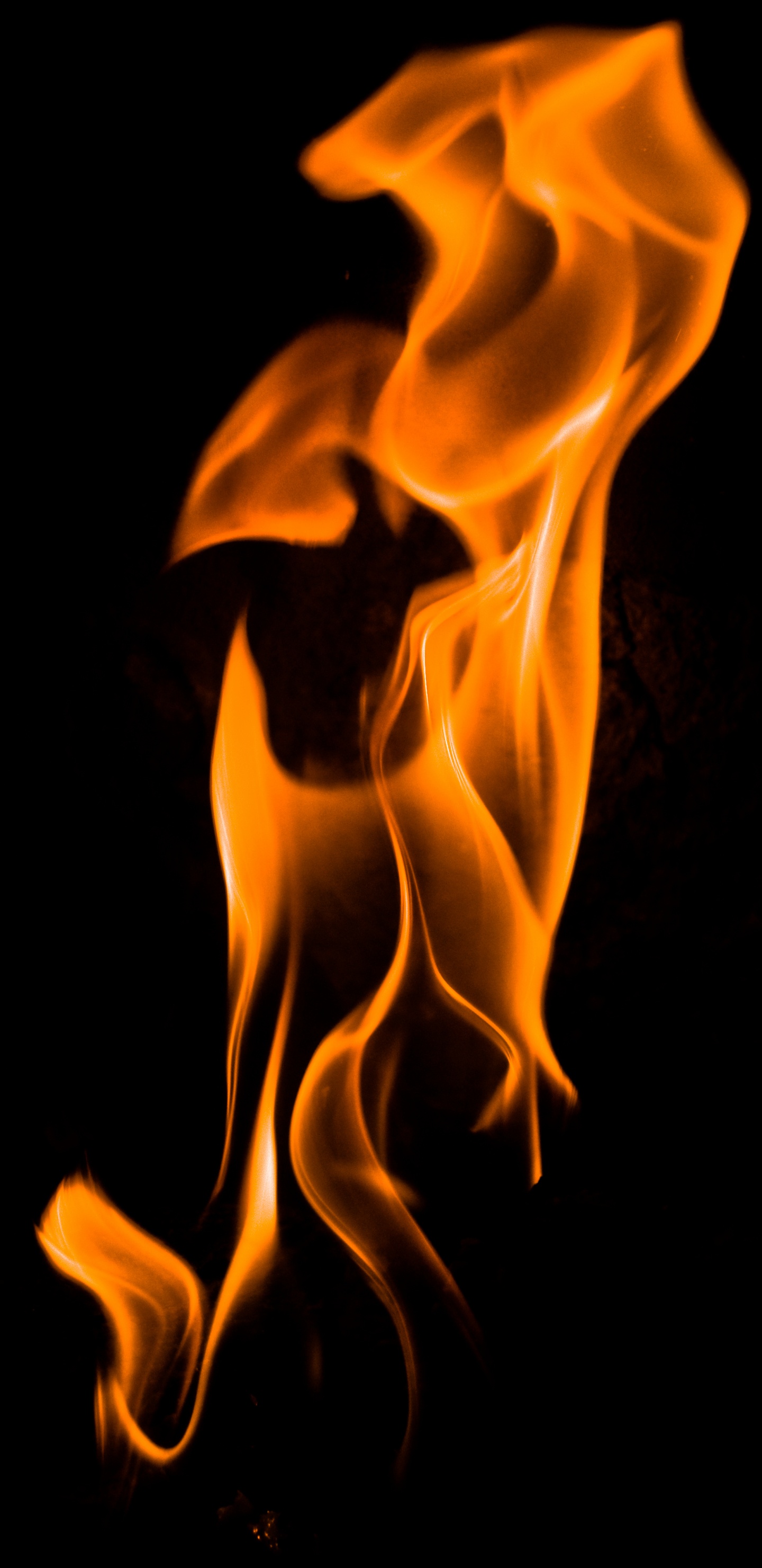 Обои пламя, огонь, тепло, мышца, рисование в разрешении 1440x2960