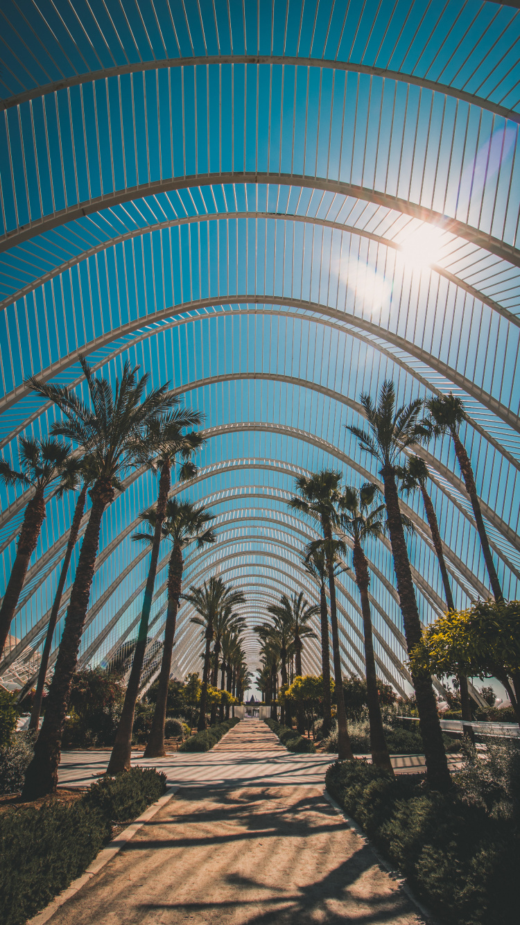 Обои архитектура, дерево, ботаники, Пальма, древесные растения в разрешении 750x1334