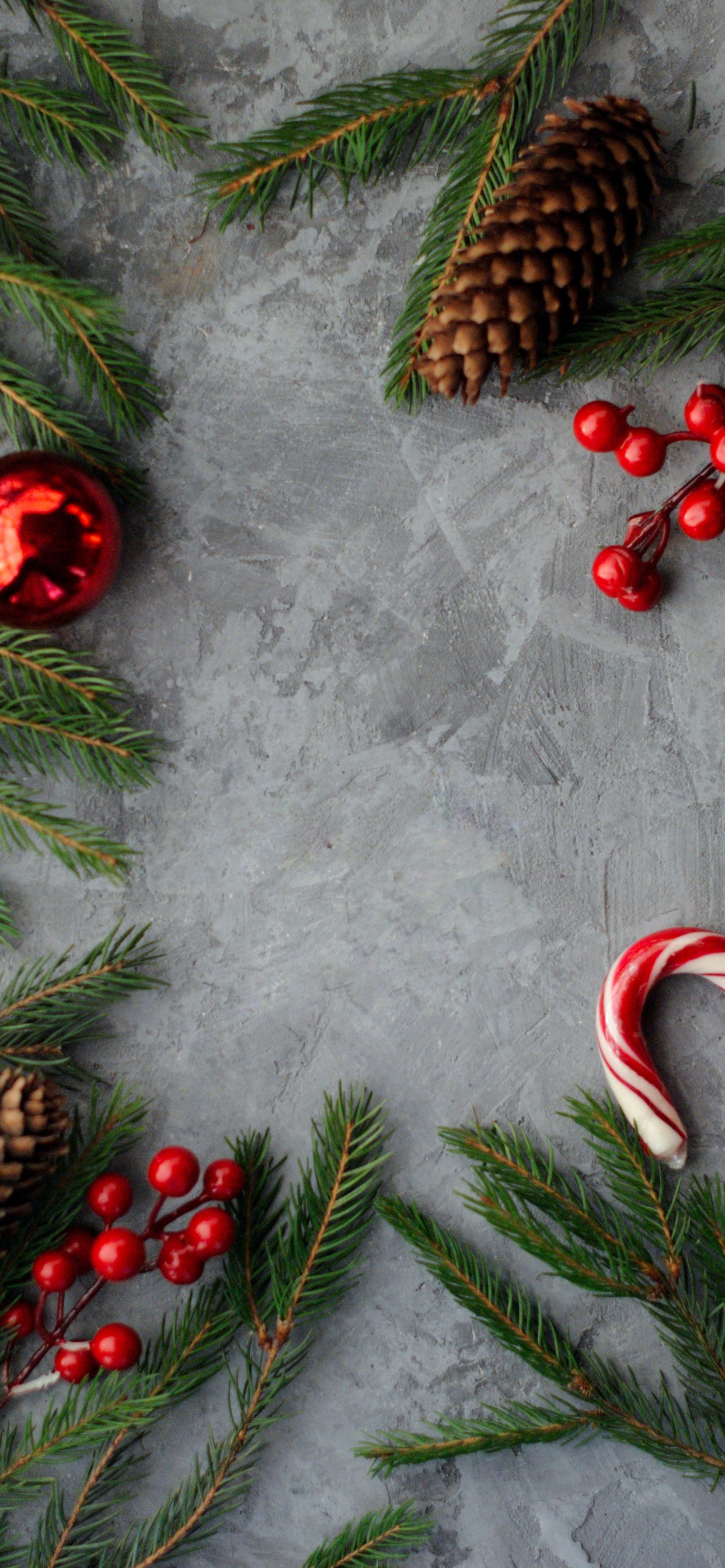 Обои Тропический сад Нонг Нуч, Рождество, рождественский орнамент, зеленый, свет в разрешении 1242x2688