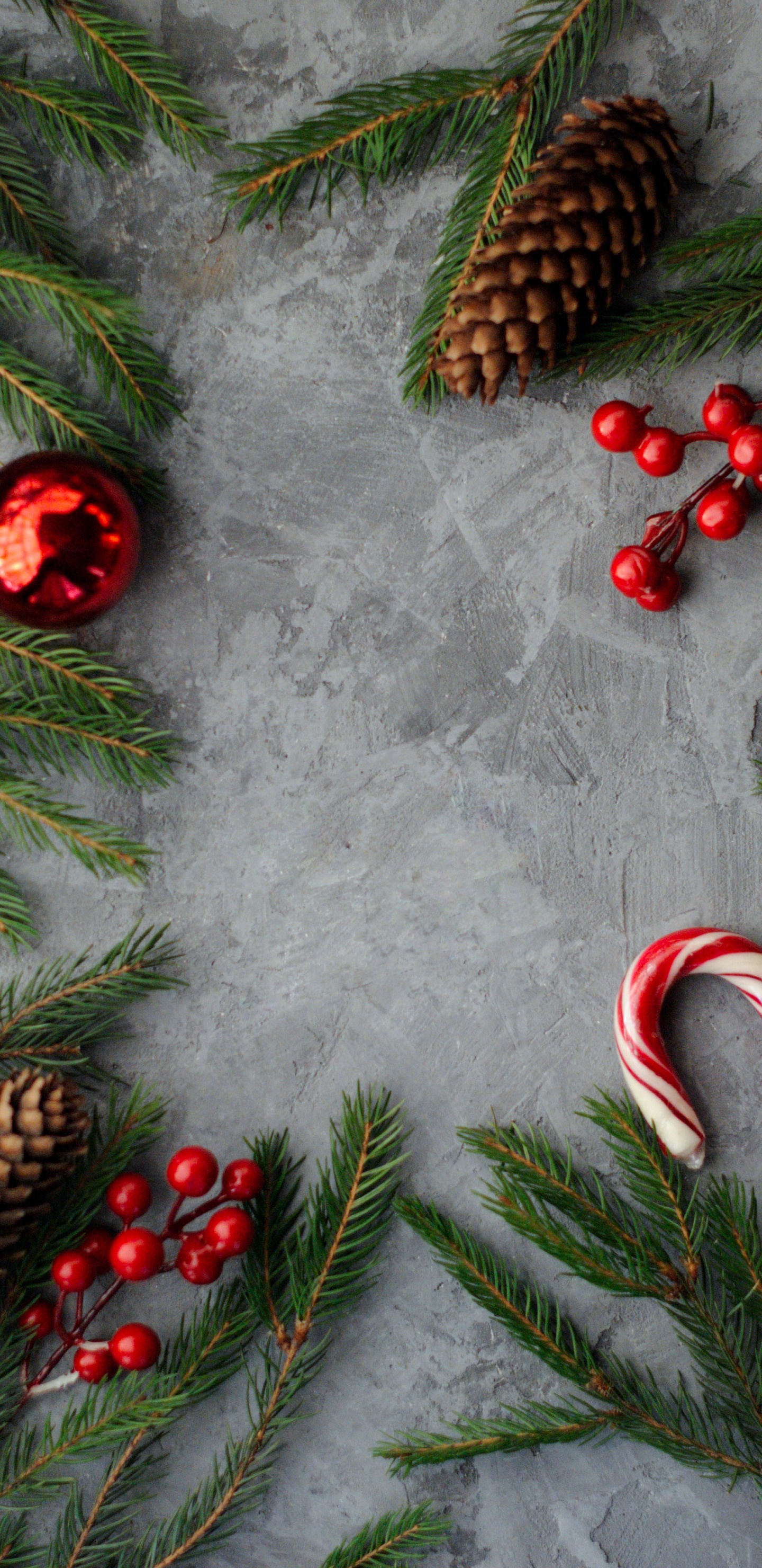 Обои Тропический сад Нонг Нуч, Рождество, рождественский орнамент, зеленый, свет в разрешении 1440x2960