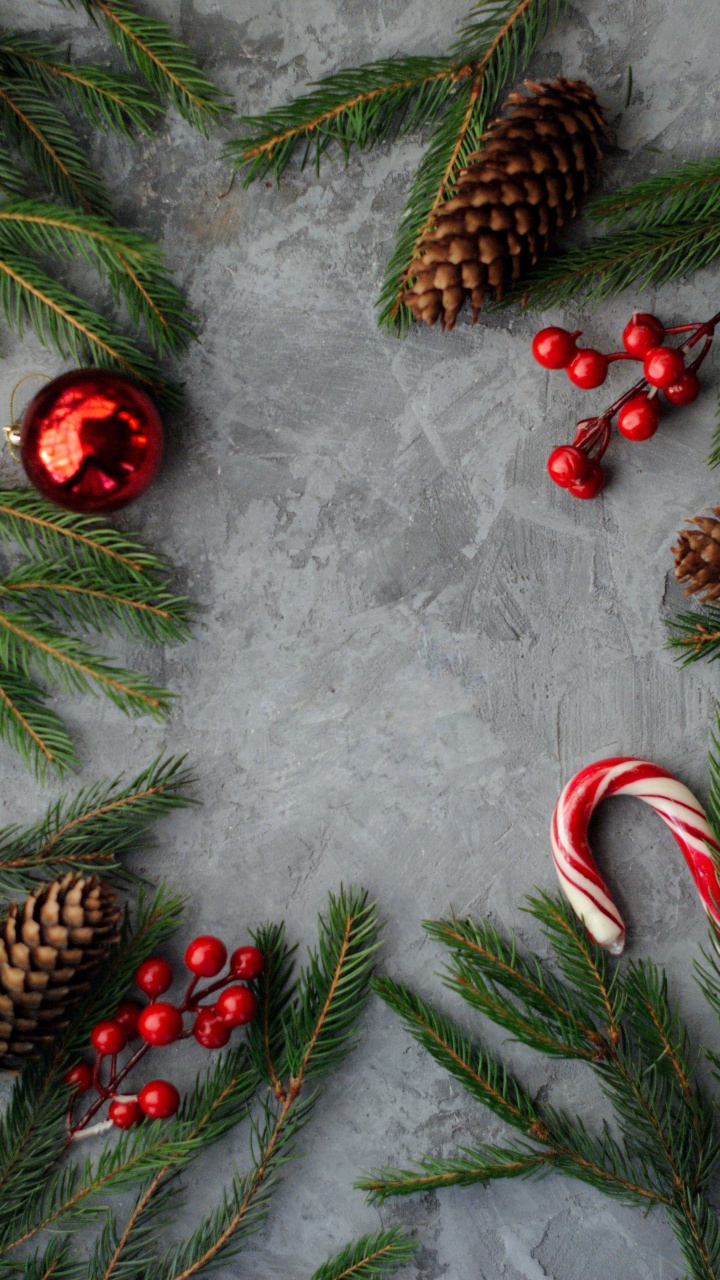 Обои Тропический сад Нонг Нуч, Рождество, рождественский орнамент, зеленый, свет в разрешении 720x1280