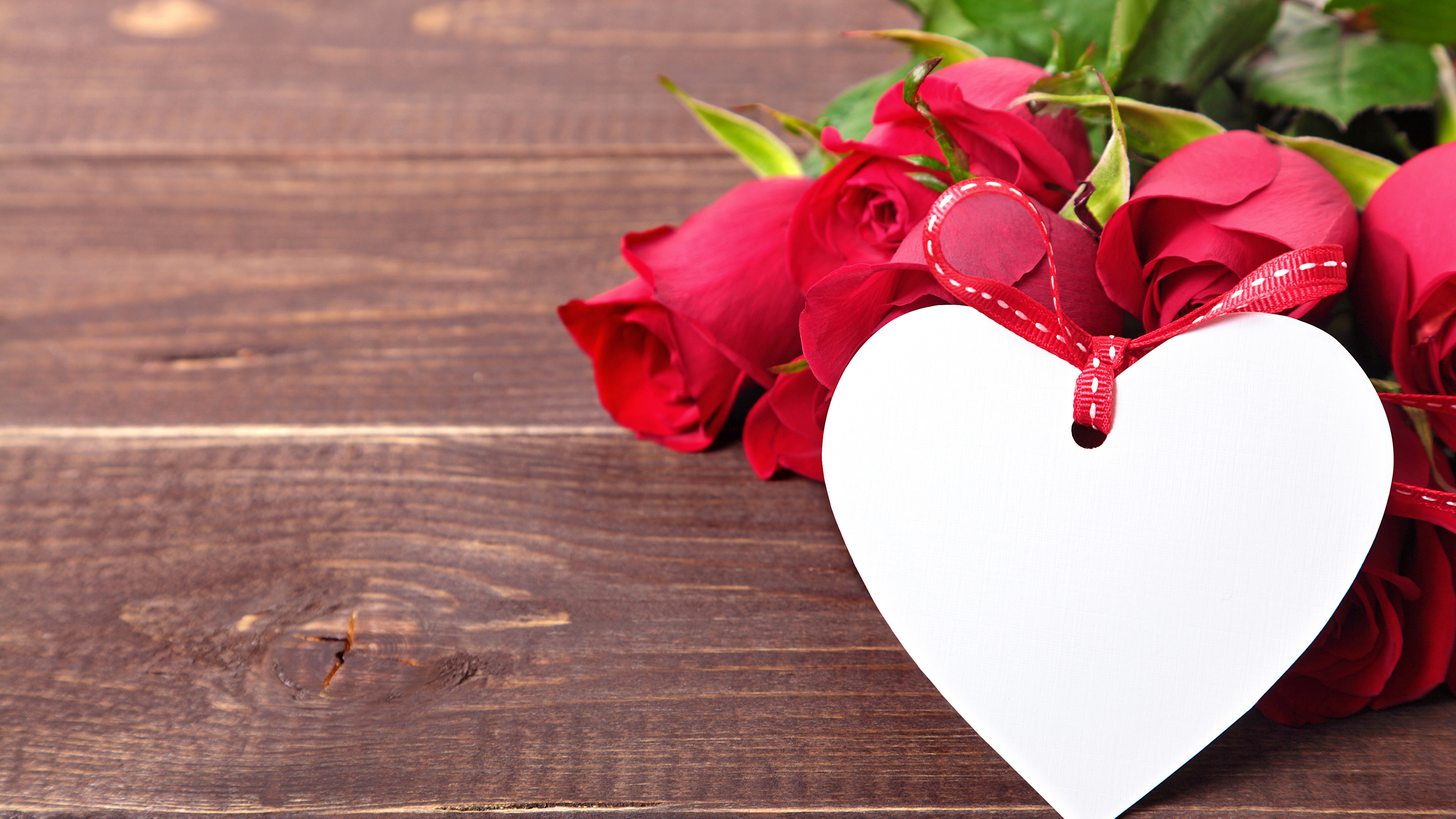 Обои День Святого Валентина, Роза, сердце, цветок, красный цвет в разрешении 3840x2160