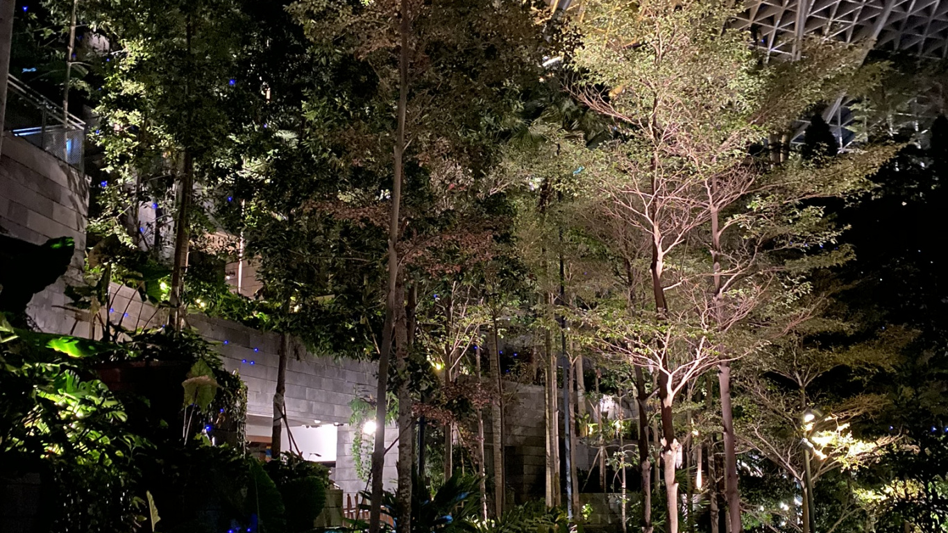 Обои природа, ландшафтное освещение, сад, ячейка, Ботанический сад в разрешении 1366x768