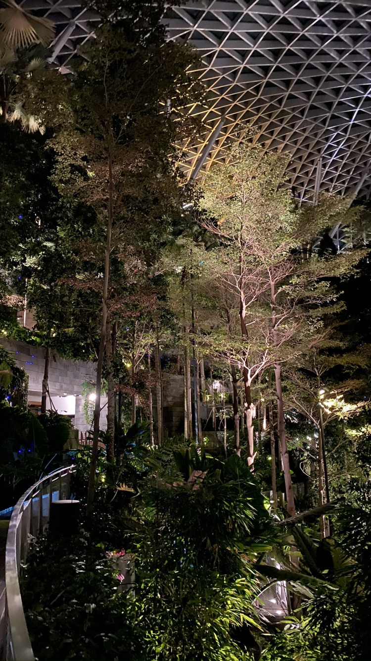 Обои природа, ландшафтное освещение, сад, ячейка, Ботанический сад в разрешении 750x1334