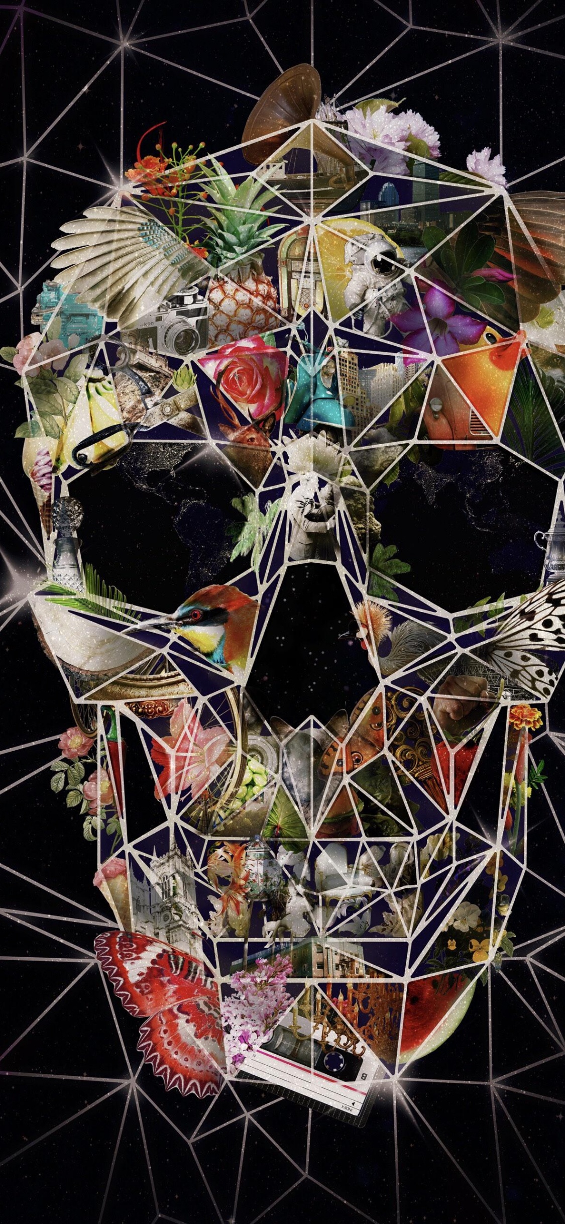 Обои череп, Череп арт, арт, абстрактное искусство, художественная печать в разрешении 1125x2436