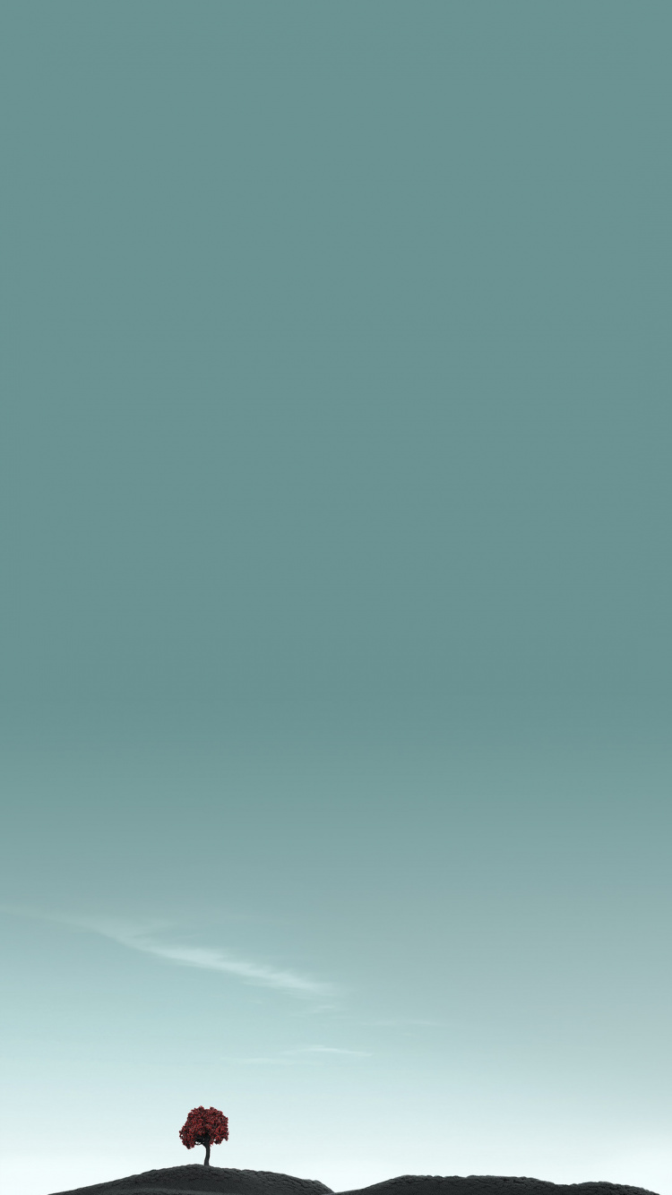 Обои облако, электрик, кучевое облако, прямоугольник, горизонт в разрешении 750x1334