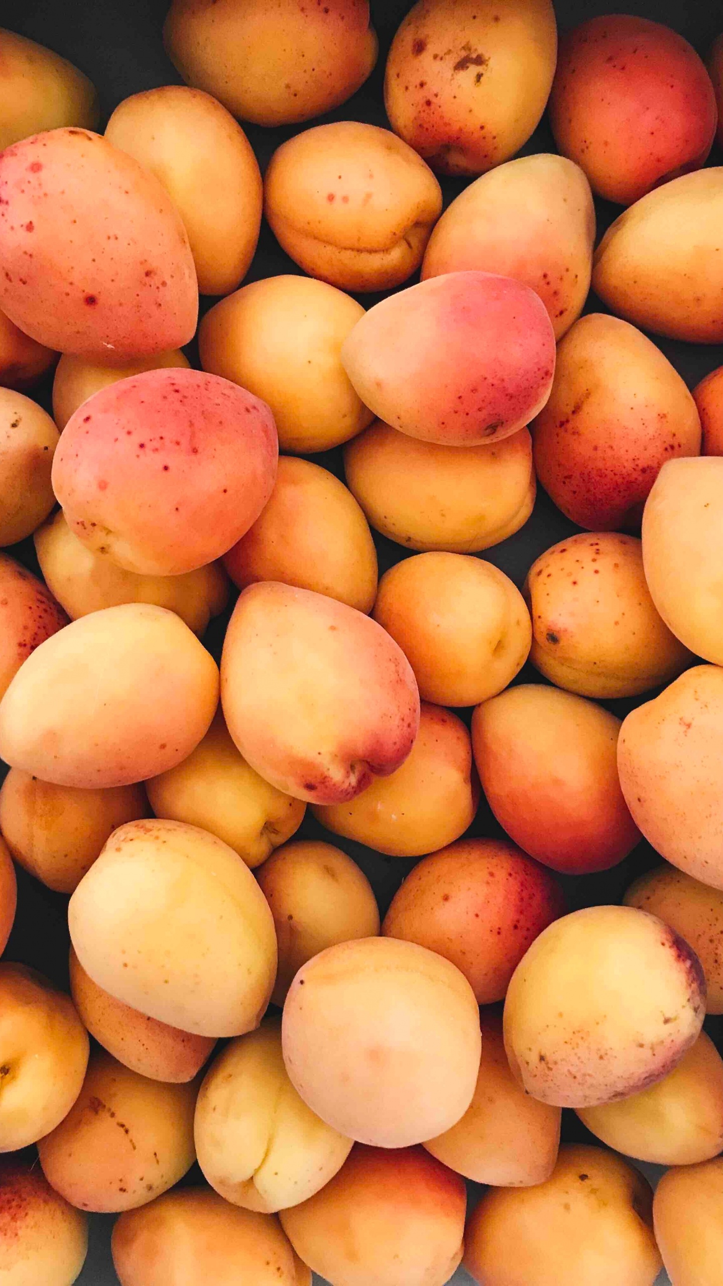 Обои фрукты, сушеные фрукты, природные продукты, местное блюдо, пища в разрешении 1440x2560