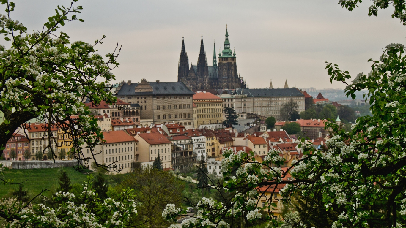Обои Пражский град, городок, город, городской район, ориентир в разрешении 1366x768