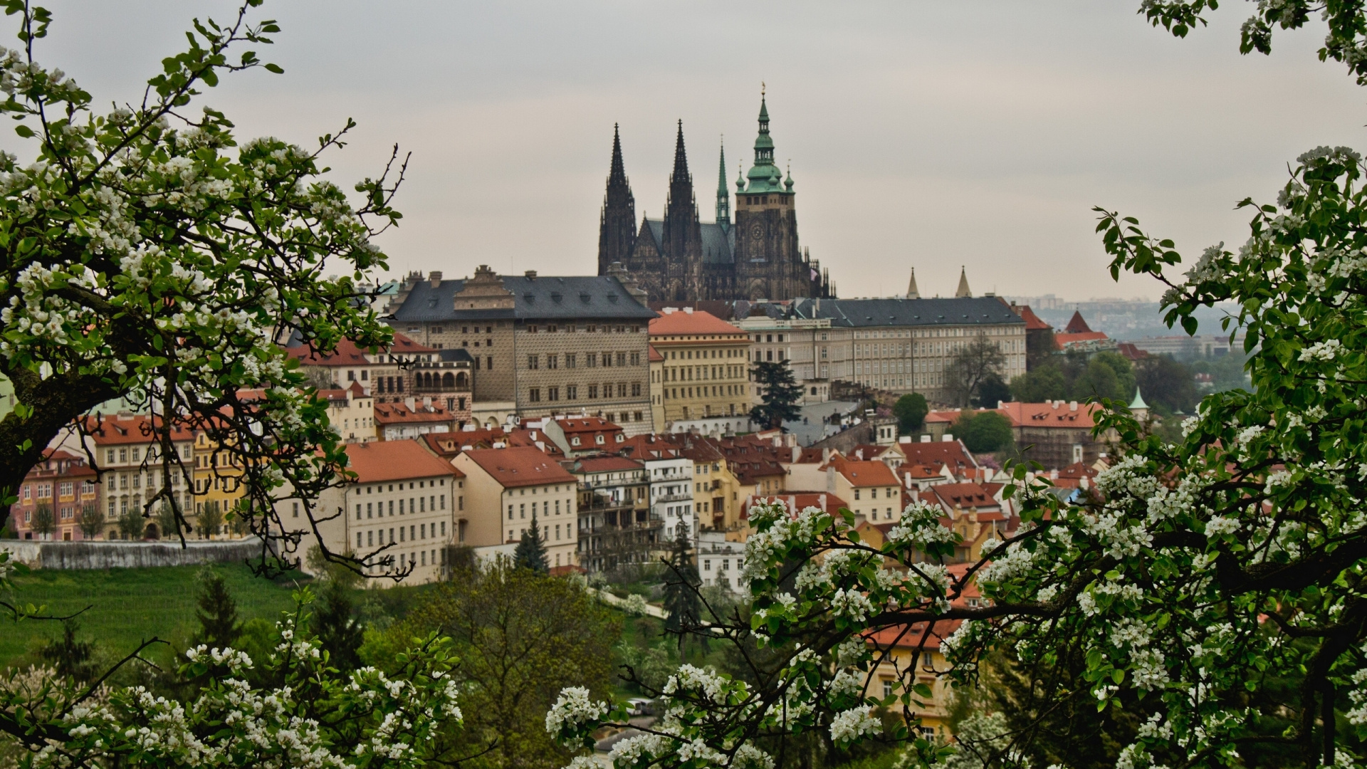 Обои Пражский град, городок, город, городской район, ориентир в разрешении 1920x1080