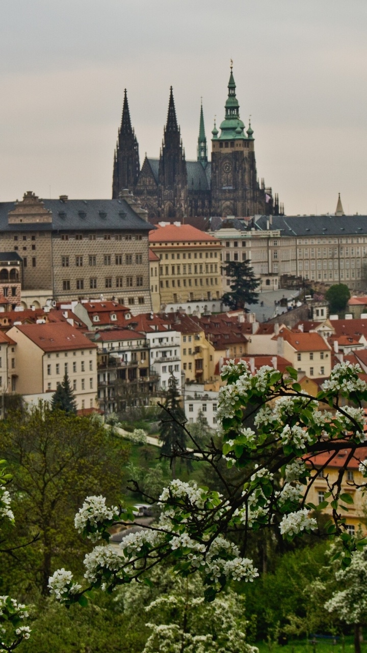 Обои Пражский град, городок, город, городской район, ориентир в разрешении 720x1280