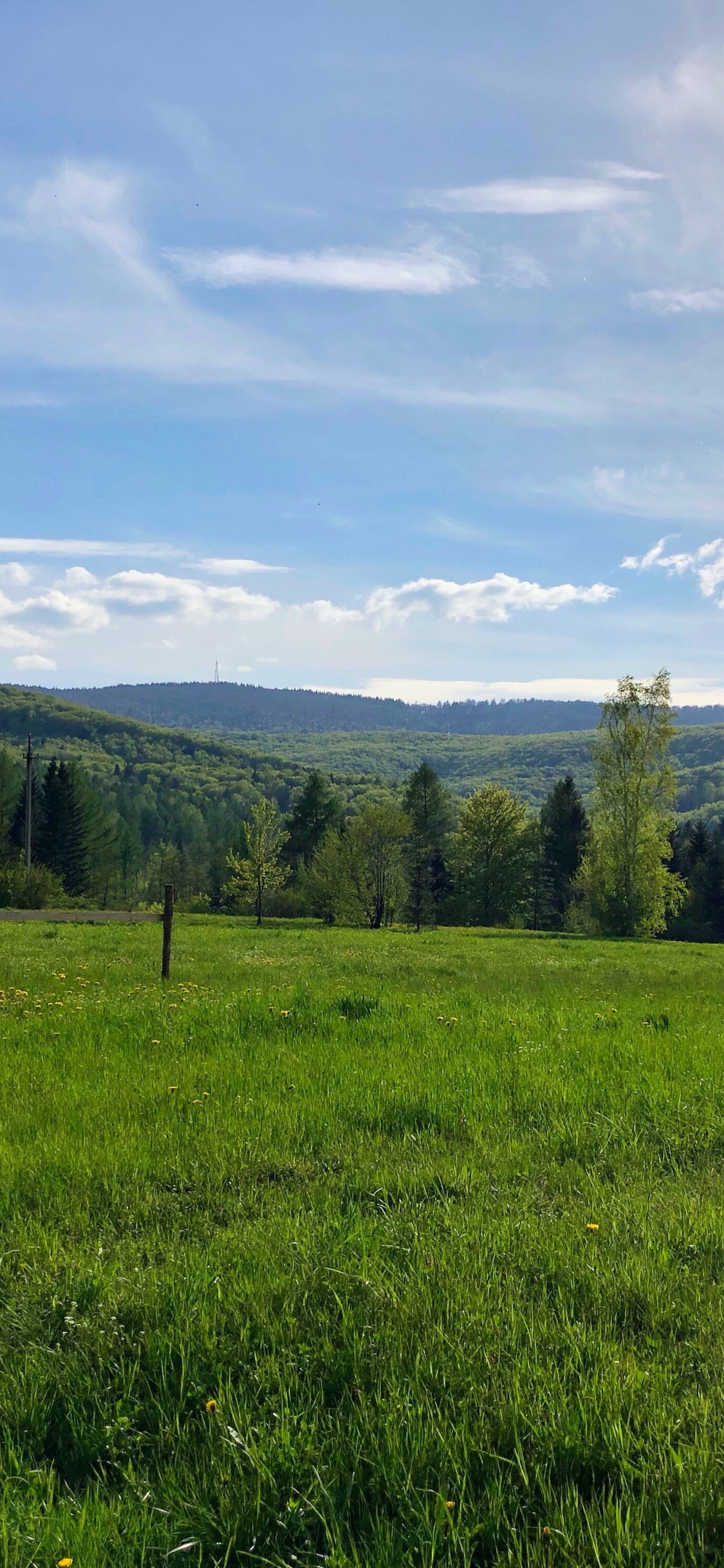 Обои NC мост не, и река, мост, окружающая среда, растение в разрешении 1125x2436