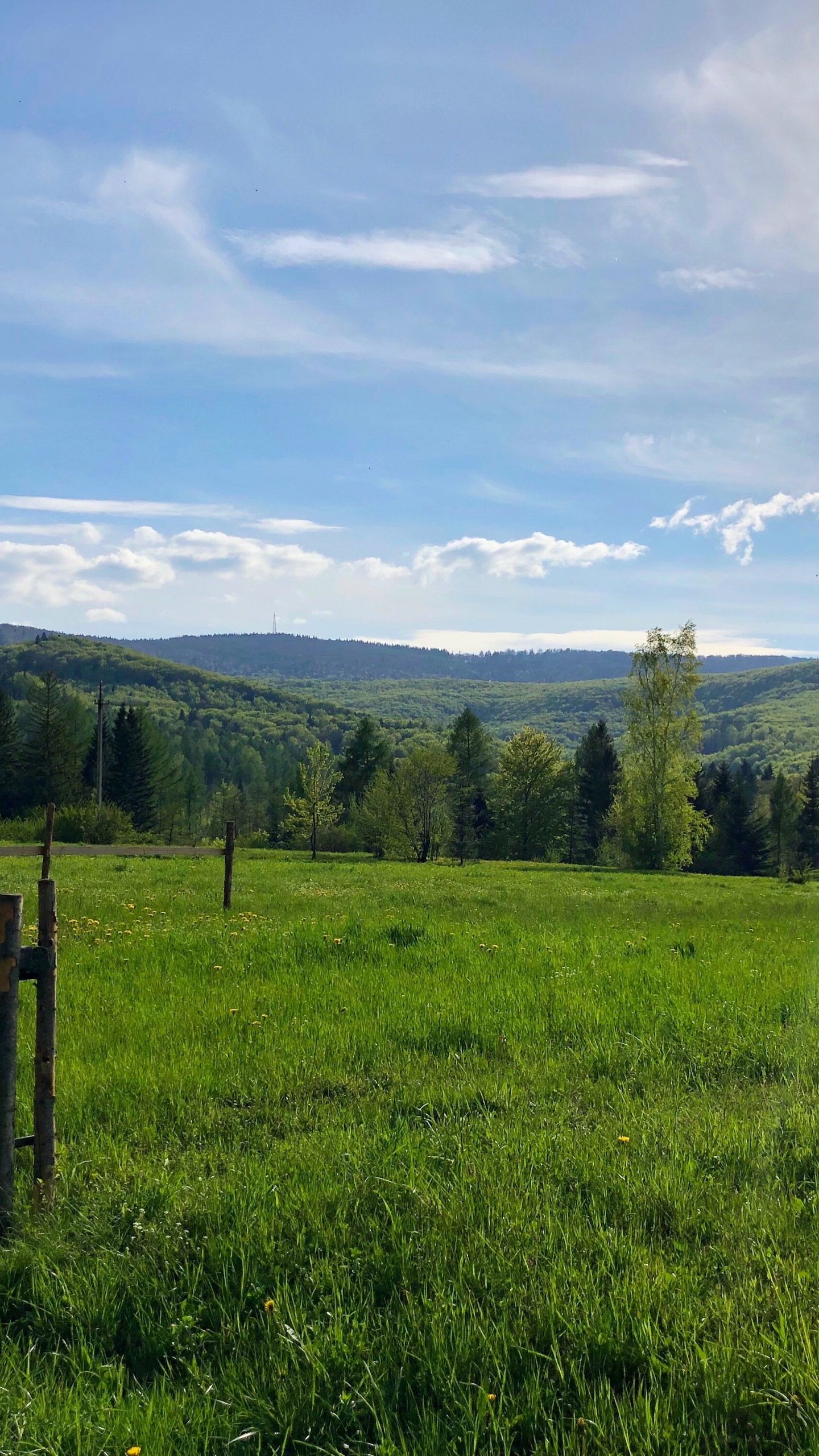 Обои NC мост не, и река, мост, окружающая среда, растение в разрешении 1440x2560