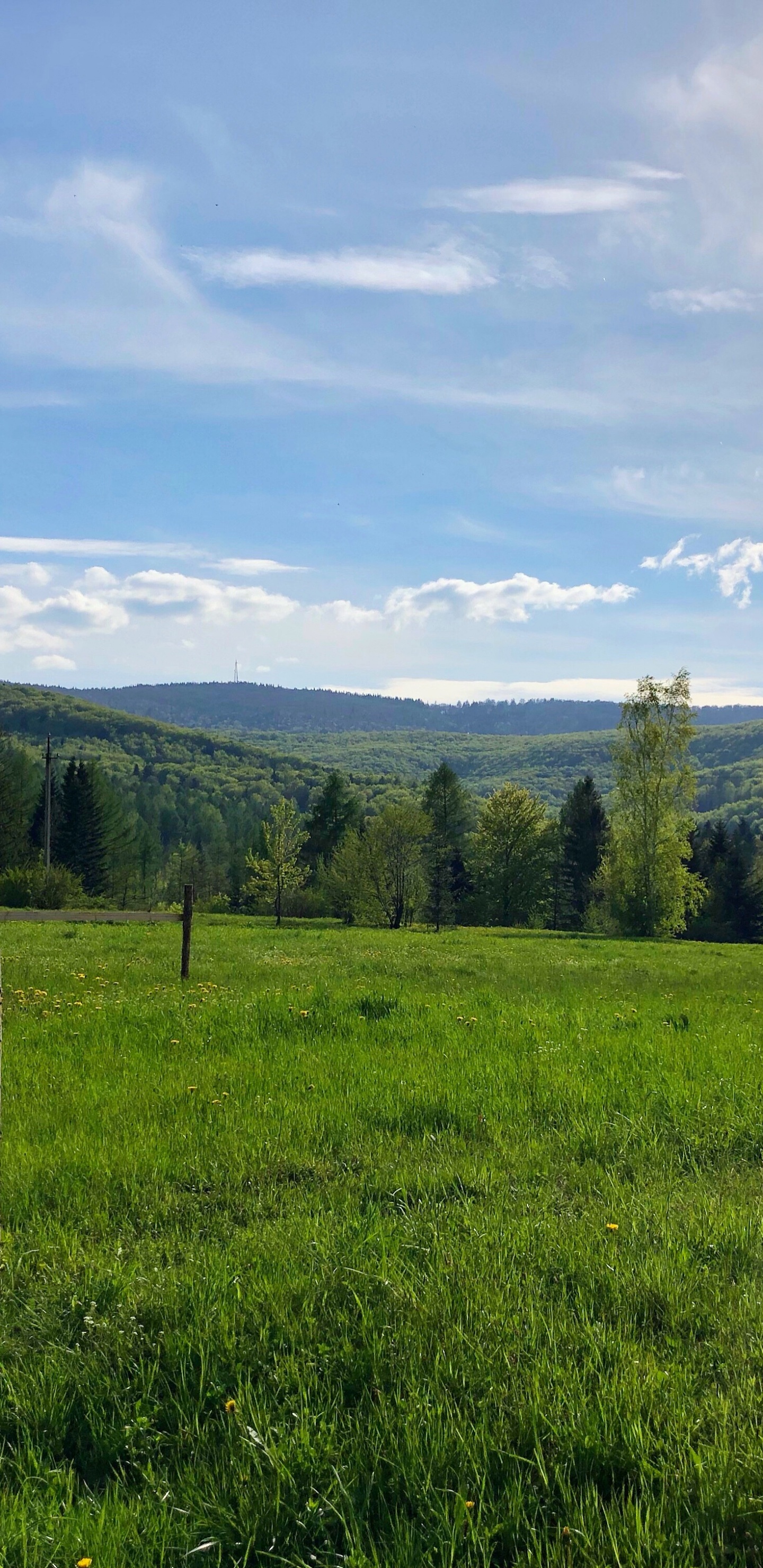 Обои NC мост не, и река, мост, окружающая среда, растение в разрешении 1440x2960