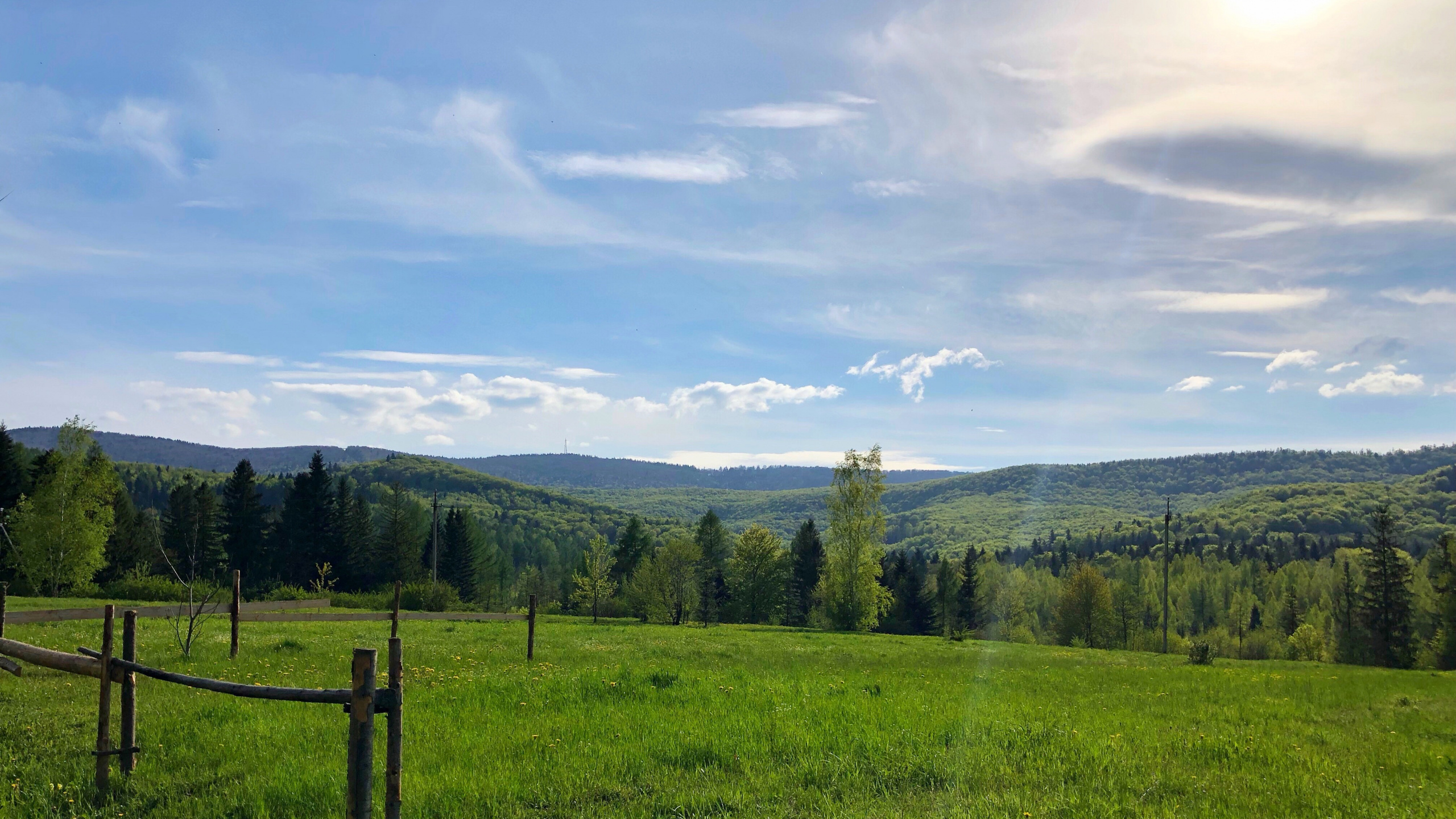 Обои NC мост не, и река, мост, окружающая среда, растение в разрешении 2560x1440