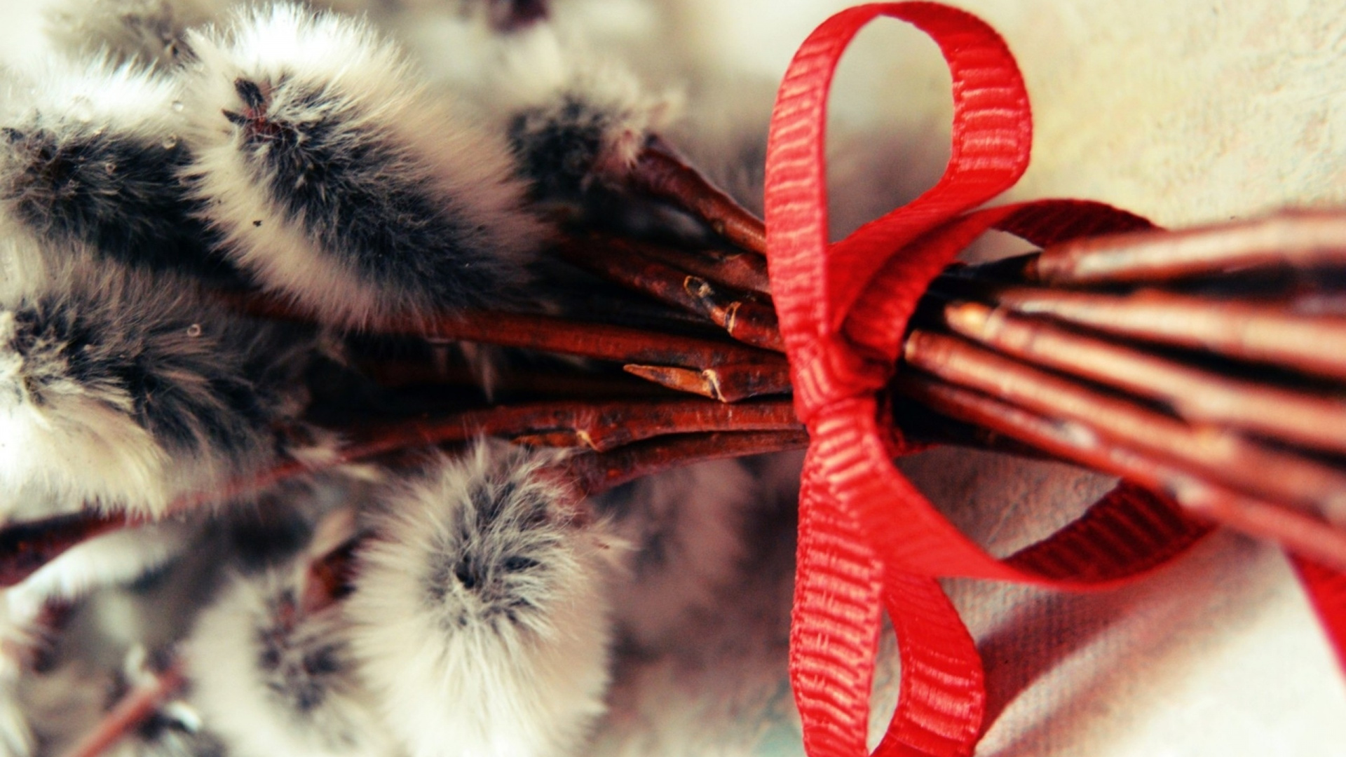 Обои церковь, страстная неделя, Великий пост, возвещение, ива в разрешении 1920x1080