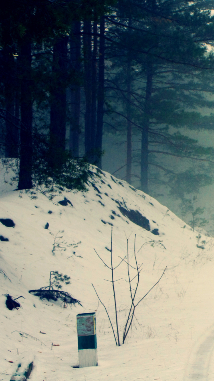 Обои снег дорога, снег, зимняя дорога, дорога, зима в разрешении 750x1334