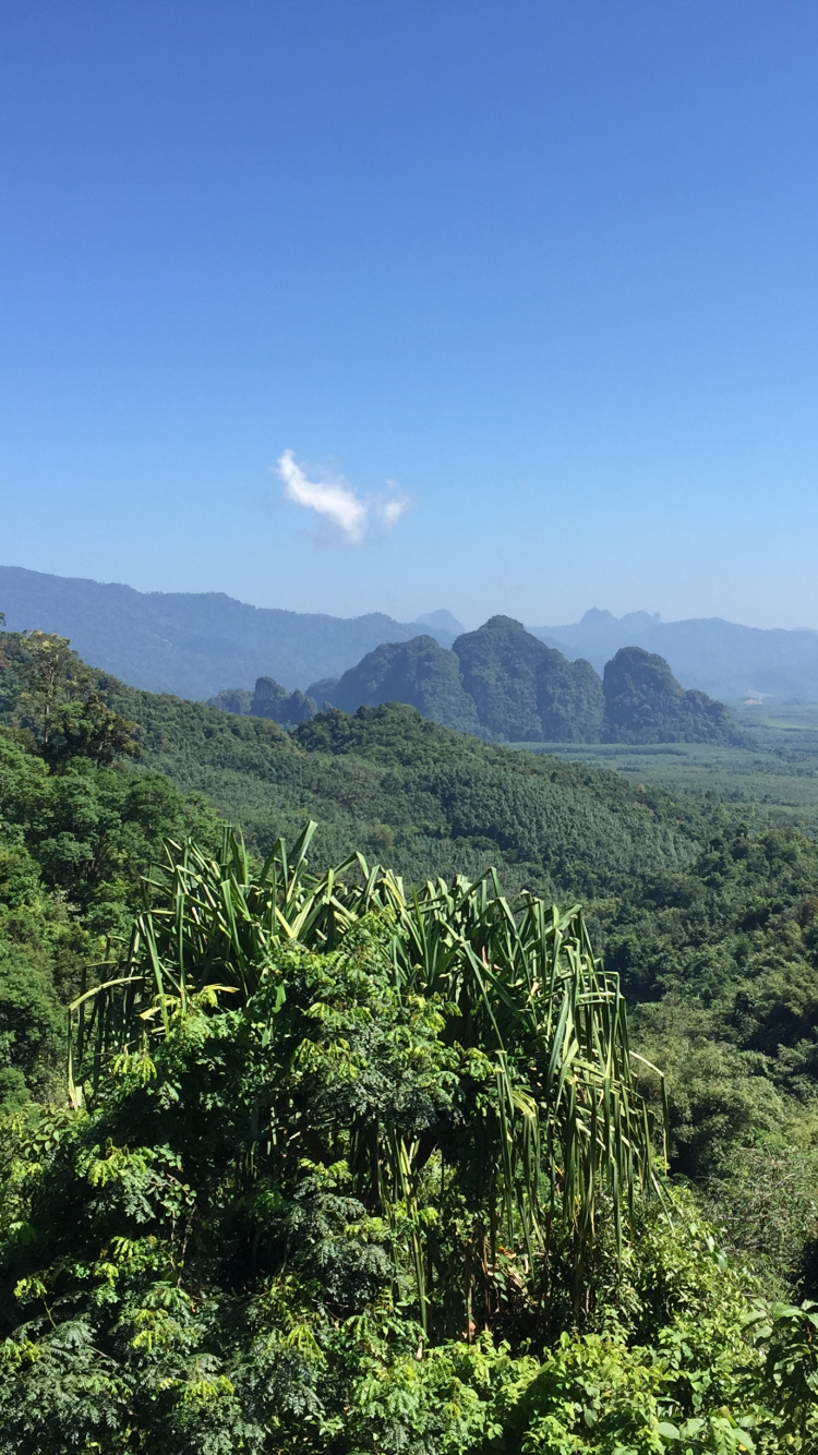 Обои растительность, природа, окружающая среда, горный рельеф, природный ландшафт в разрешении 750x1334