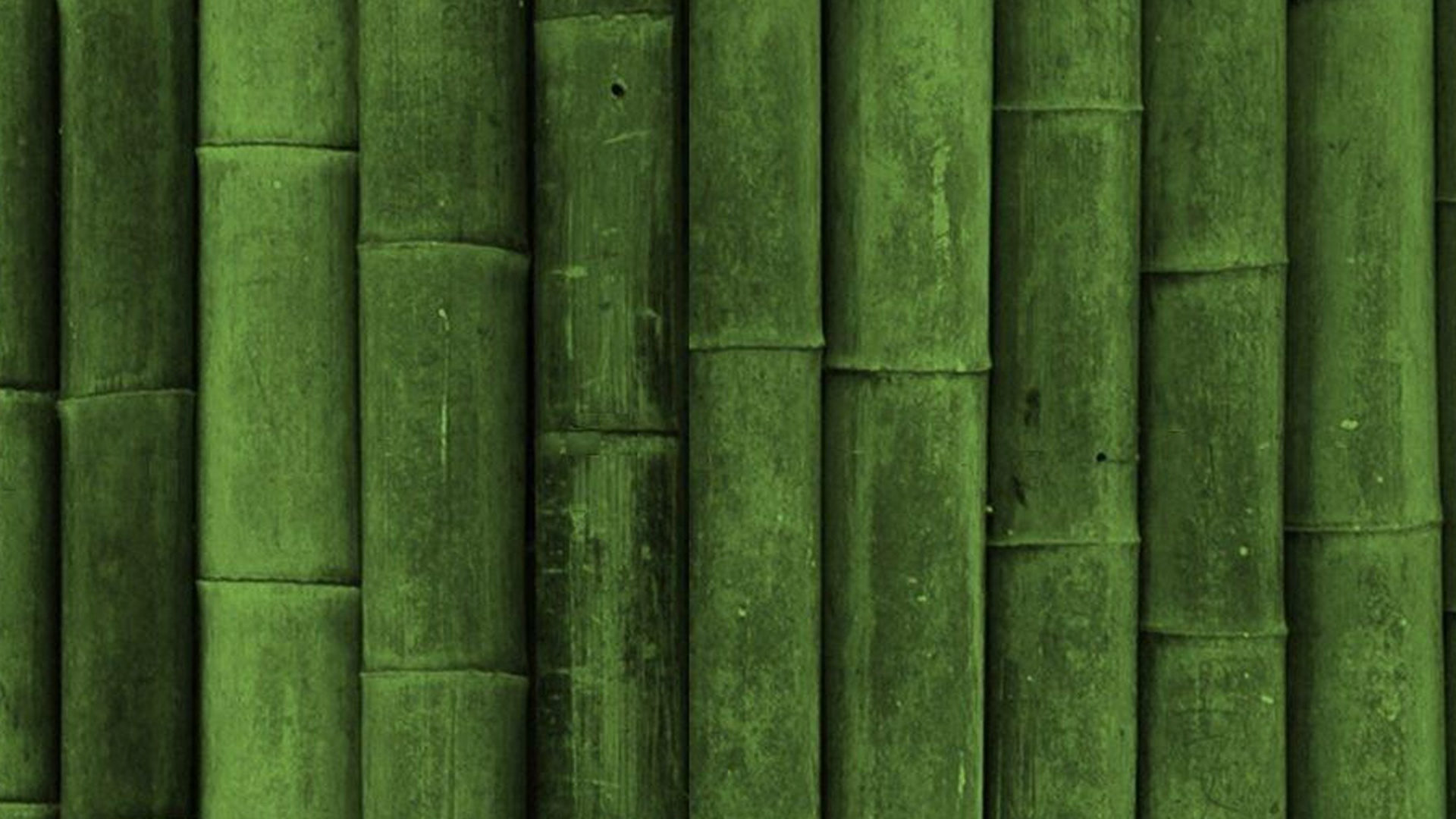 Обои зеленый, лист, бамбук, стебель растения, растение в разрешении 1920x1080