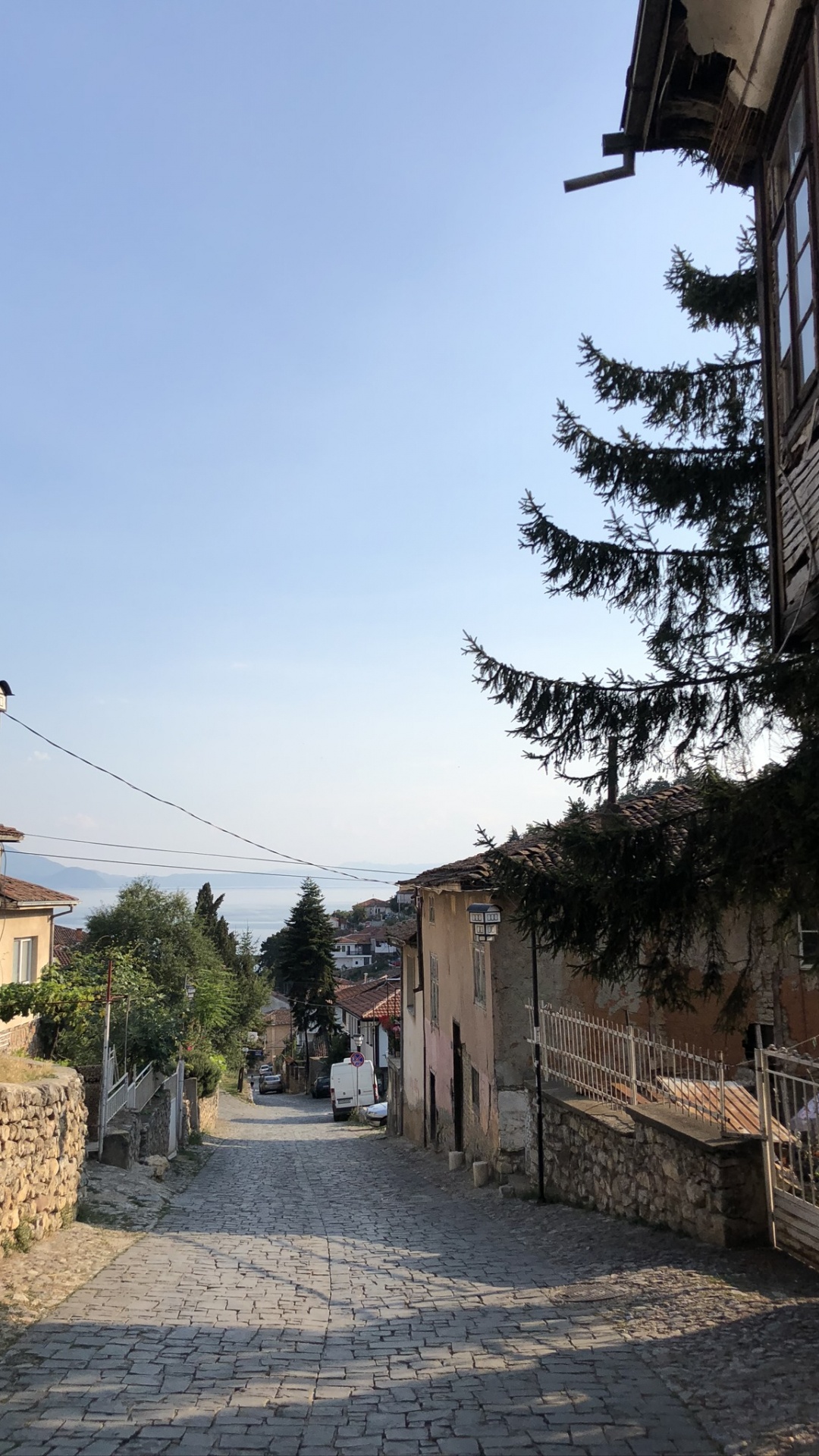 Обои биология, городок, дорога, соседство, инфраструктура в разрешении 1080x1920