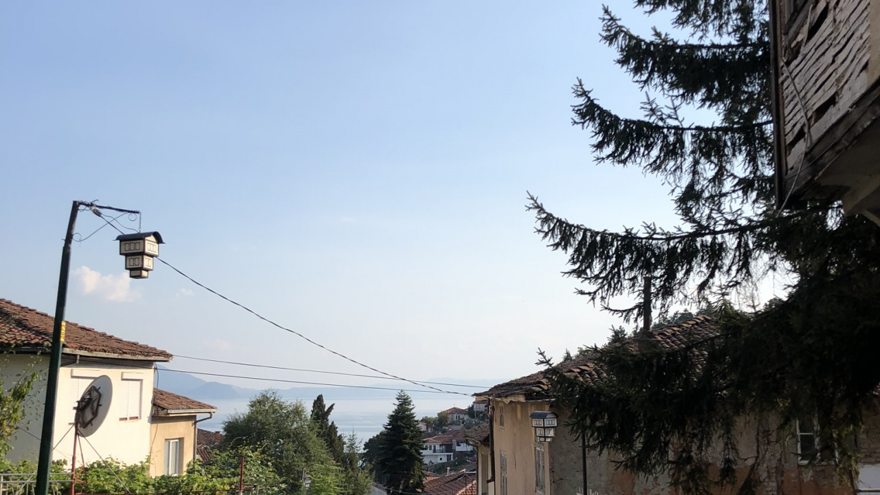 Обои биология, городок, дорога, соседство, инфраструктура в разрешении 1280x720