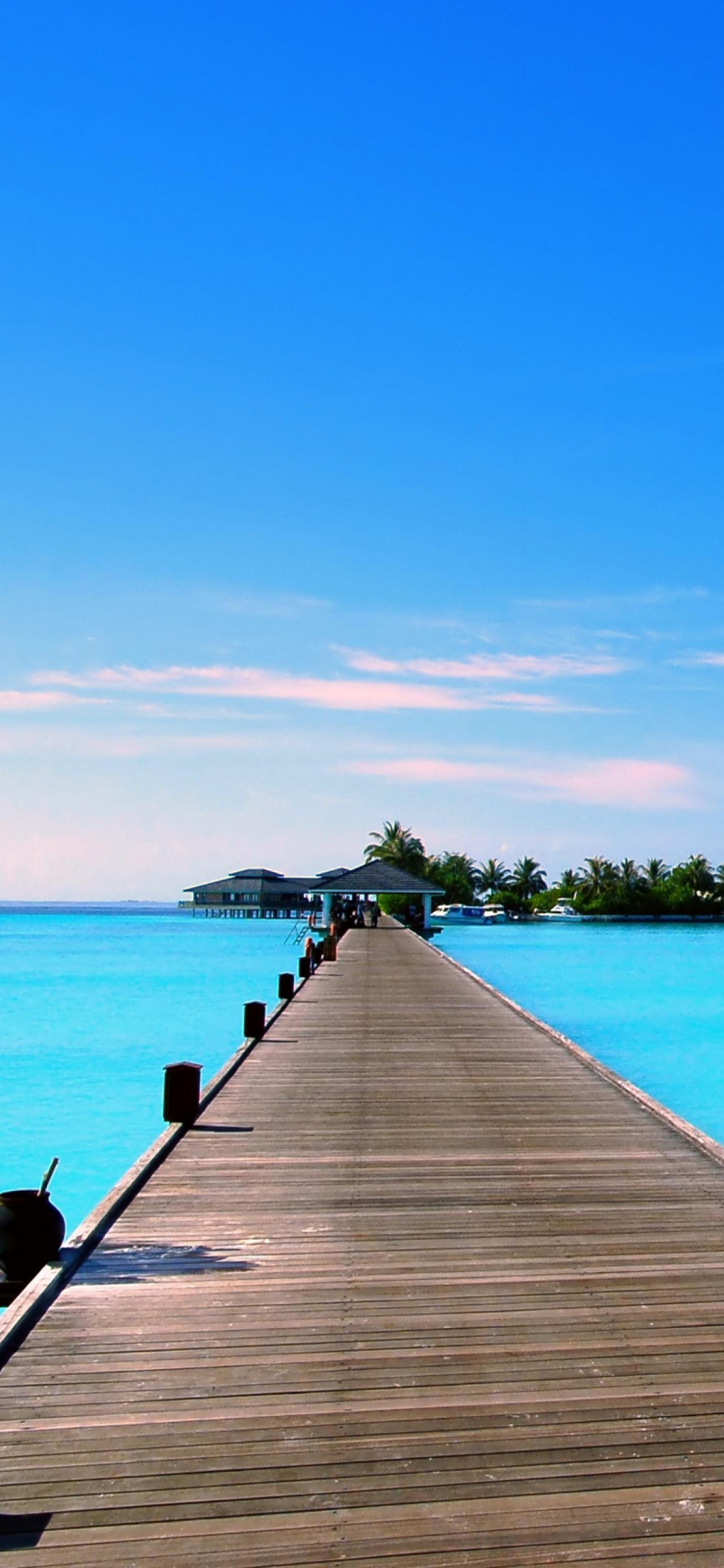 Обои море, горизонт, океан, тропическая зона, спокойный в разрешении 1125x2436