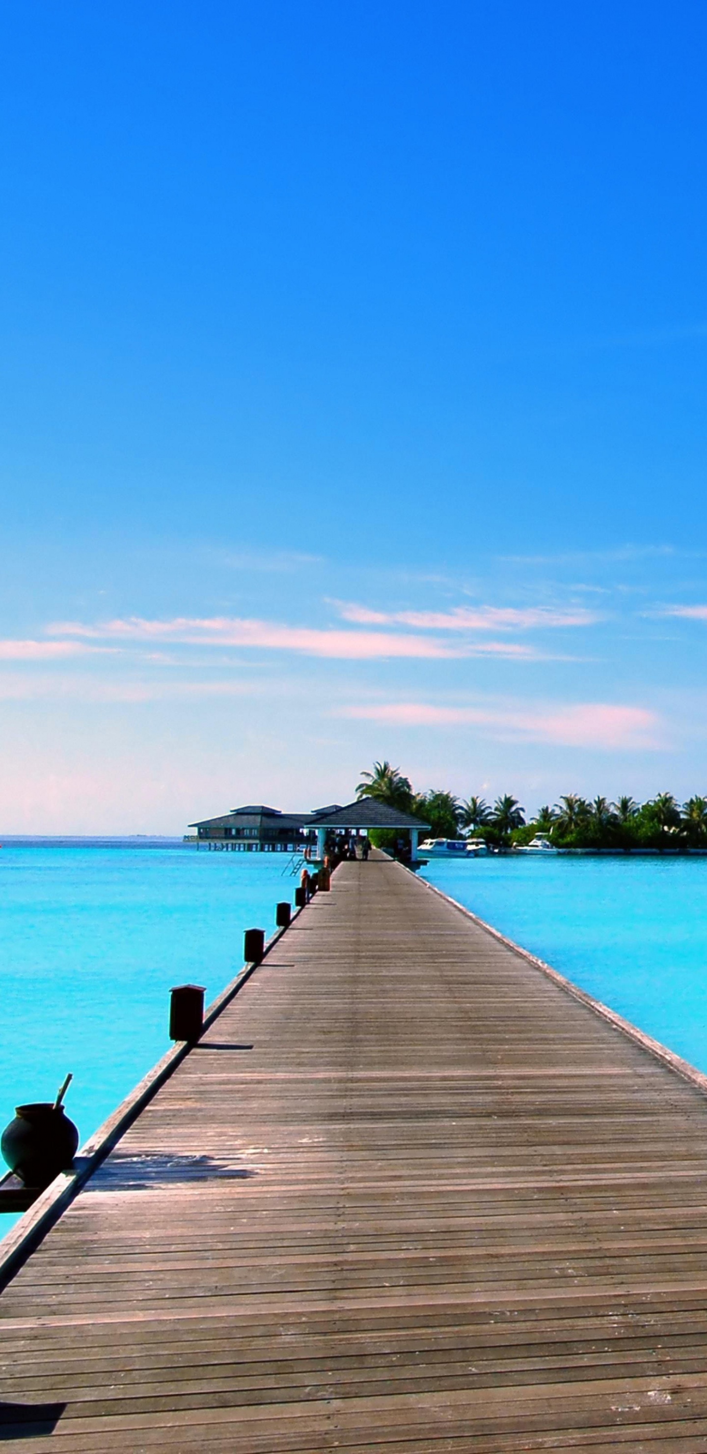 Обои море, горизонт, океан, тропическая зона, спокойный в разрешении 1440x2960