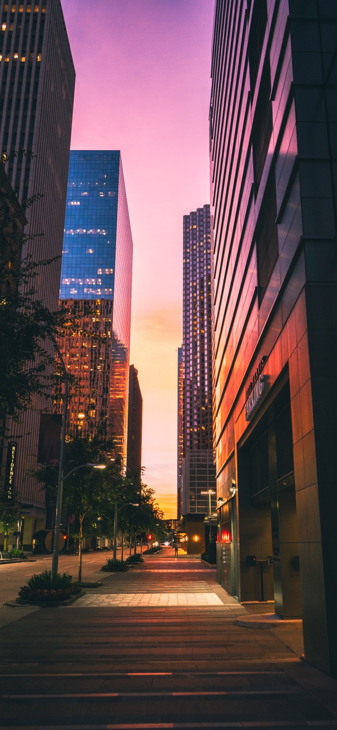 Обои здание, небоскреб, инфраструктура, растение, сумрак в разрешении 1125x2436