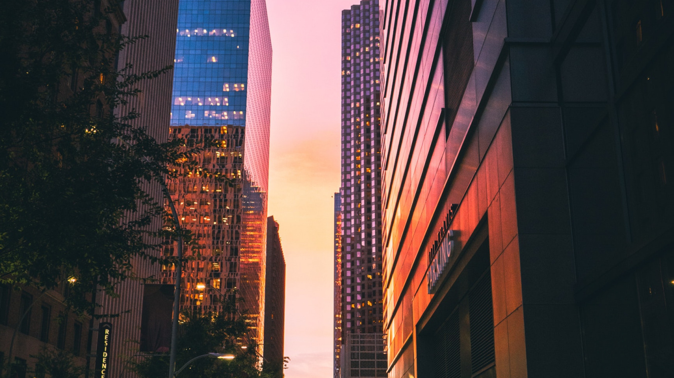 Обои здание, небоскреб, инфраструктура, растение, сумрак в разрешении 1366x768