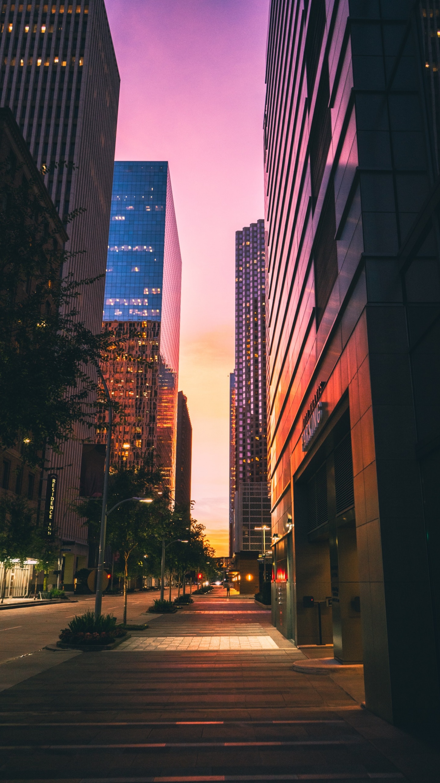 Обои здание, небоскреб, инфраструктура, растение, сумрак в разрешении 1440x2560