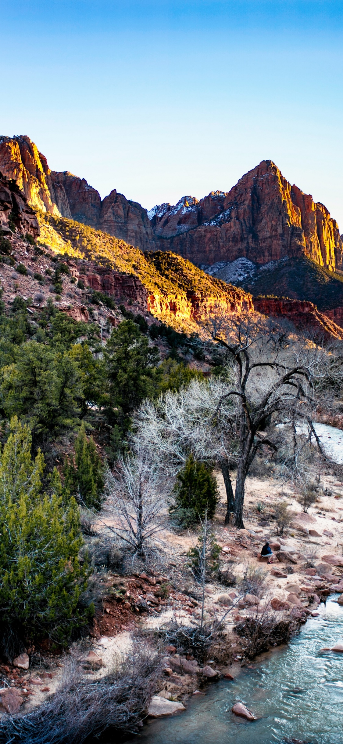 Обои youtube баннер природа, арт, растение, вода, гора в разрешении 1125x2436