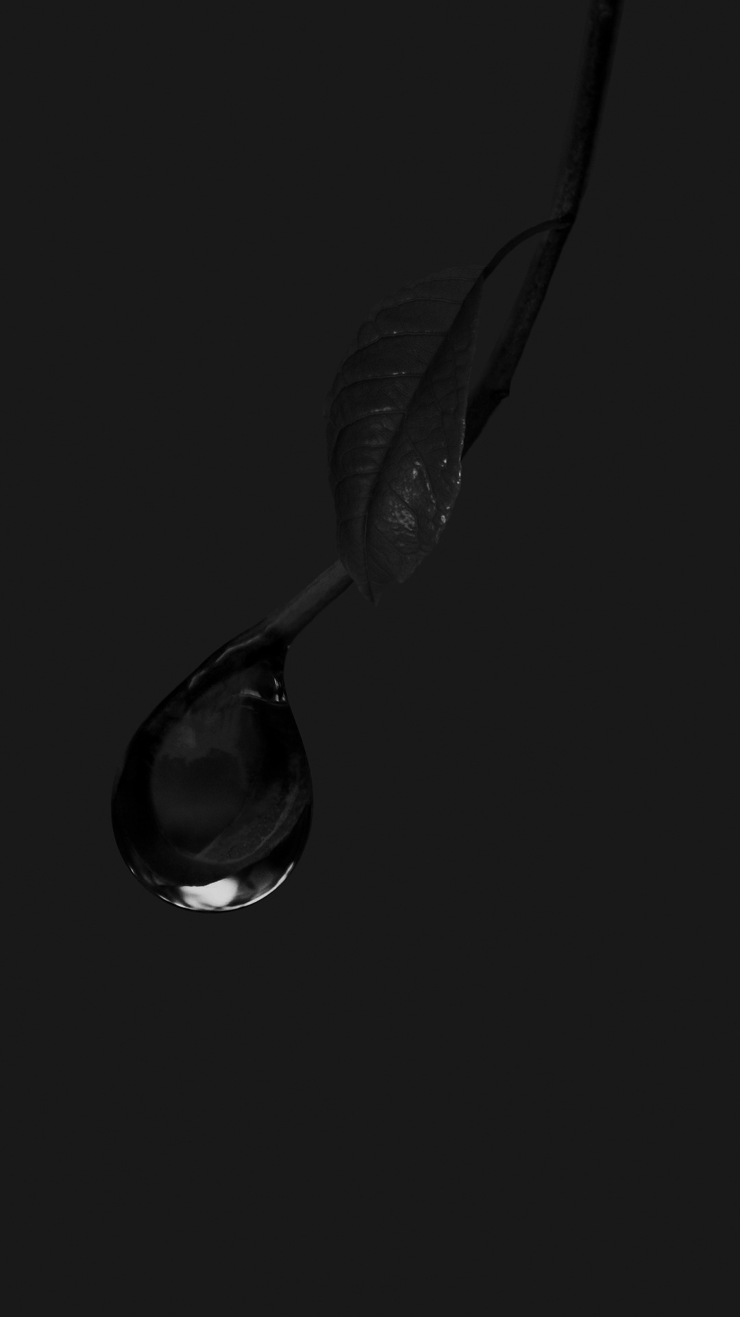 Обои черный и белый, вода, жидкий, жидкость, влага в разрешении 1080x1920