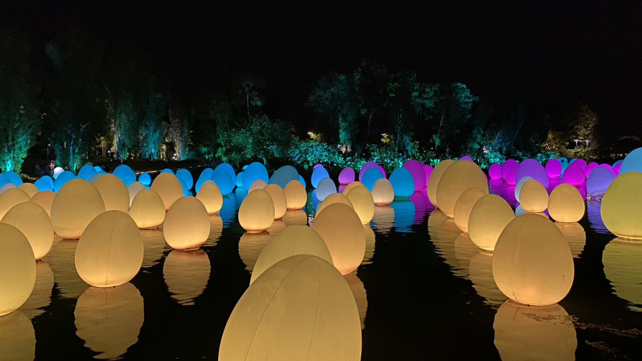 Обои Сингапур, ночь, ландшафтное освещение, темнота, свет в разрешении 1280x720