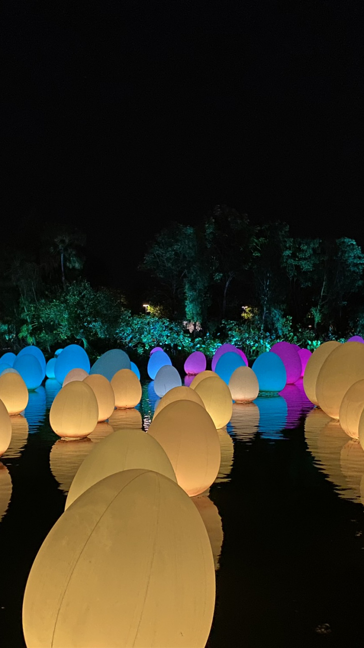 Обои Сингапур, ночь, ландшафтное освещение, темнота, свет в разрешении 750x1334