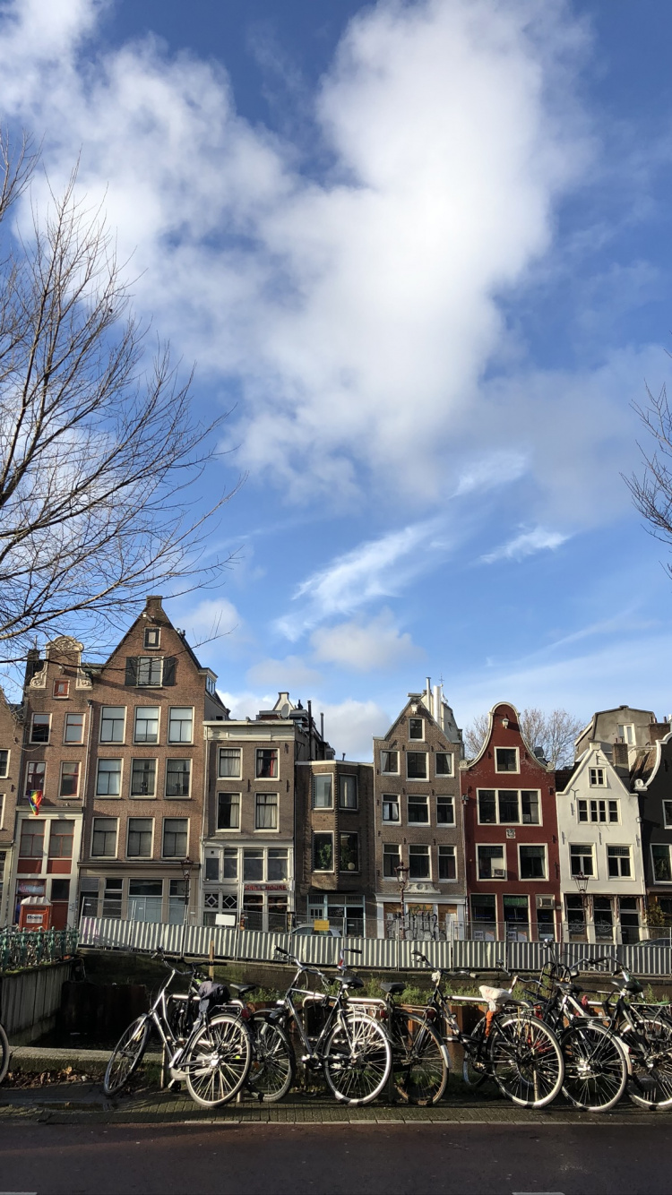 Обои Амстердам, андроид, meizu m6 примечание, колесо, велосипедная шина в разрешении 750x1334