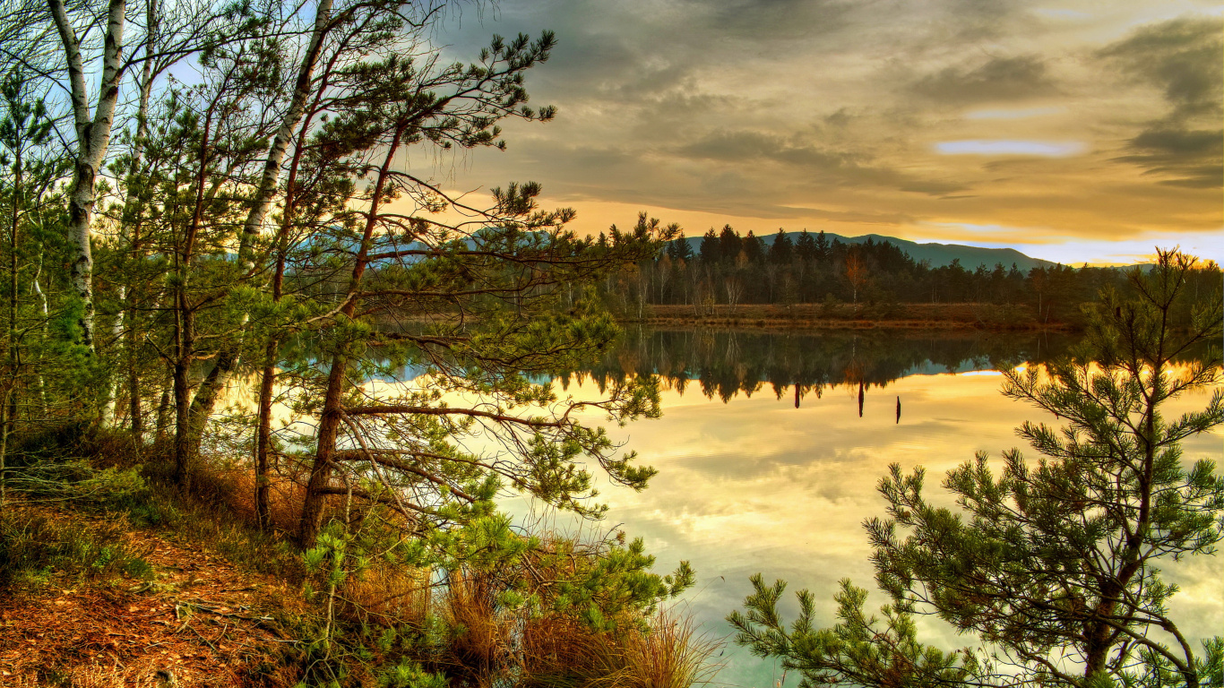 Обои пейзаж, природа, отражение, природный заповедник, дикая местность в разрешении 1366x768