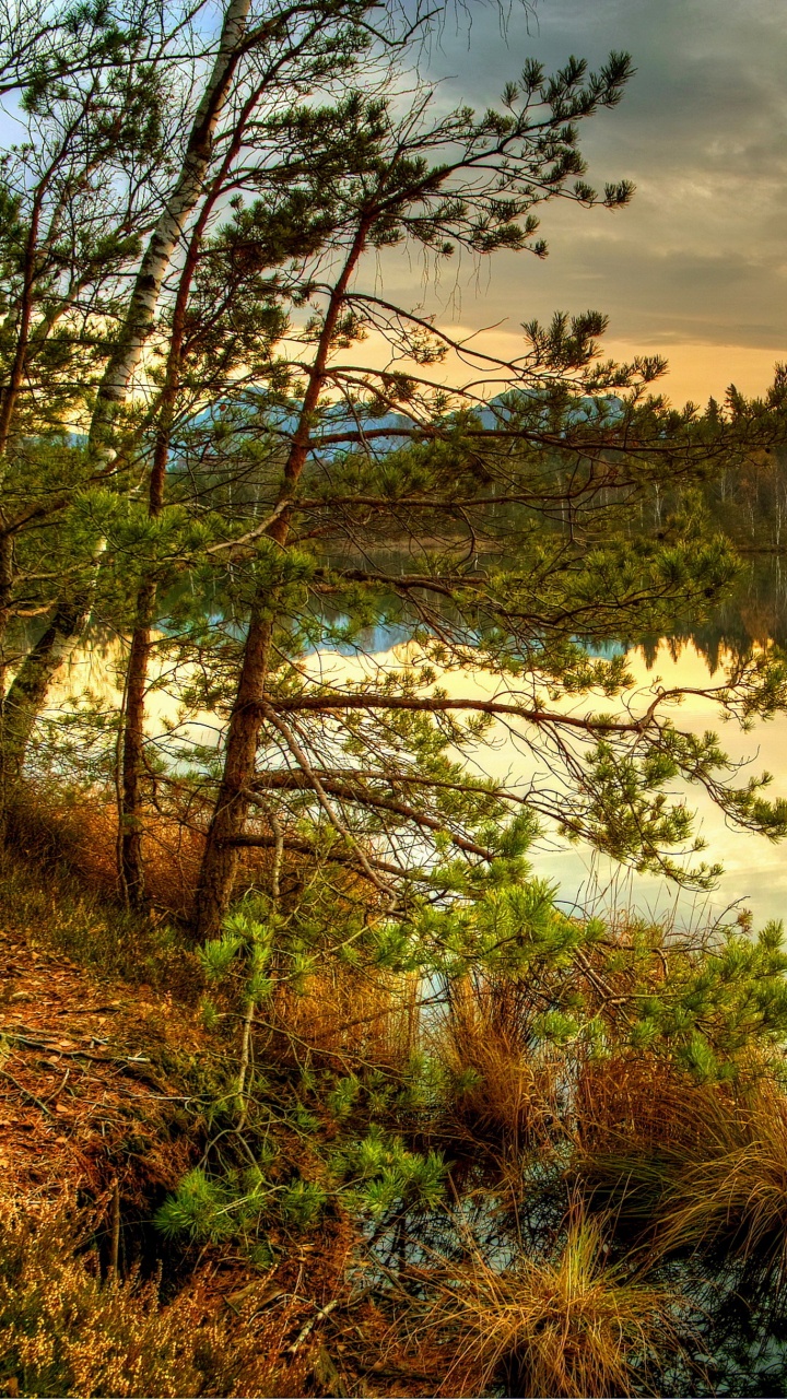 Обои пейзаж, природа, отражение, природный заповедник, дикая местность в разрешении 720x1280