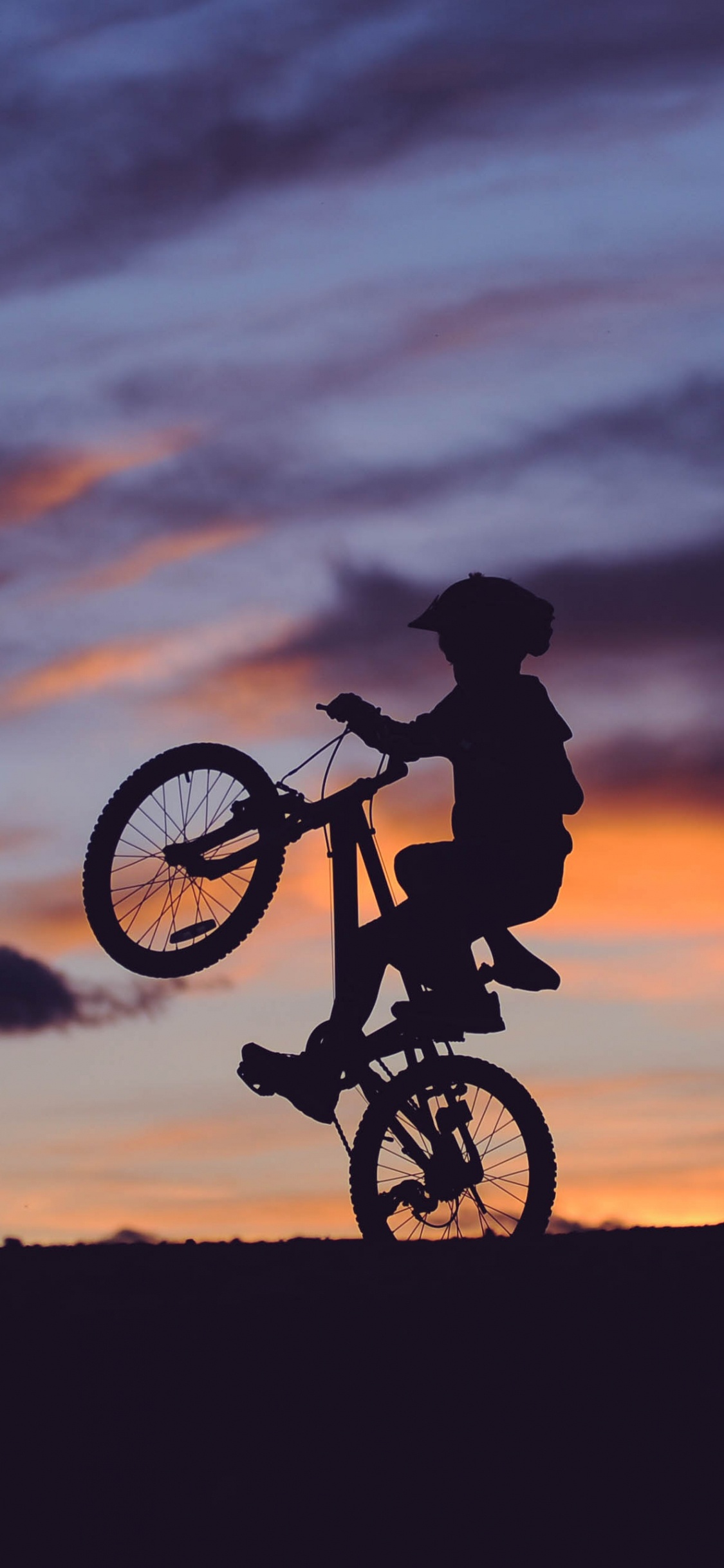 Обои велосипед, горный велосипед, bmx велосипед, мотоцикл, Вили в разрешении 1125x2436