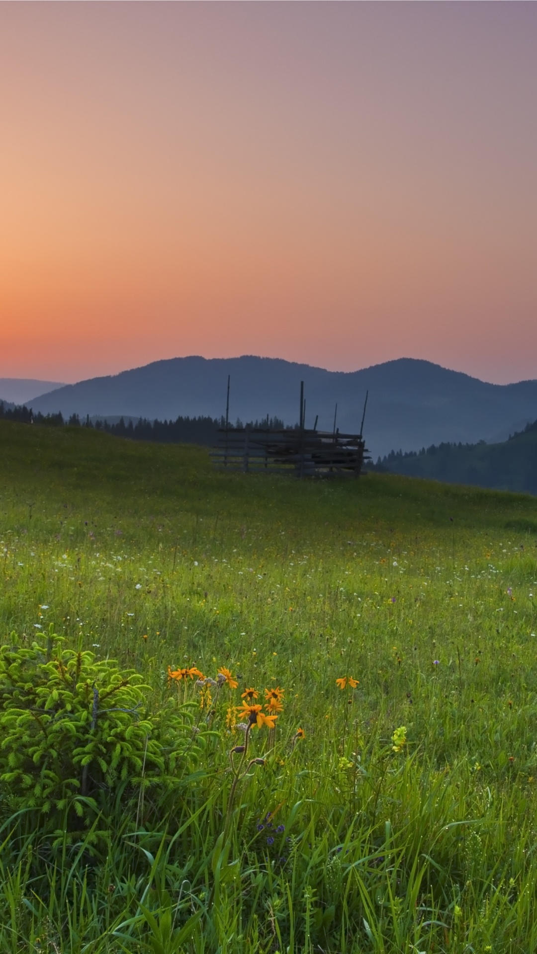 Обои сенокосное угодье, природа, луг, природный ландшафт, окружающая среда в разрешении 1080x1920