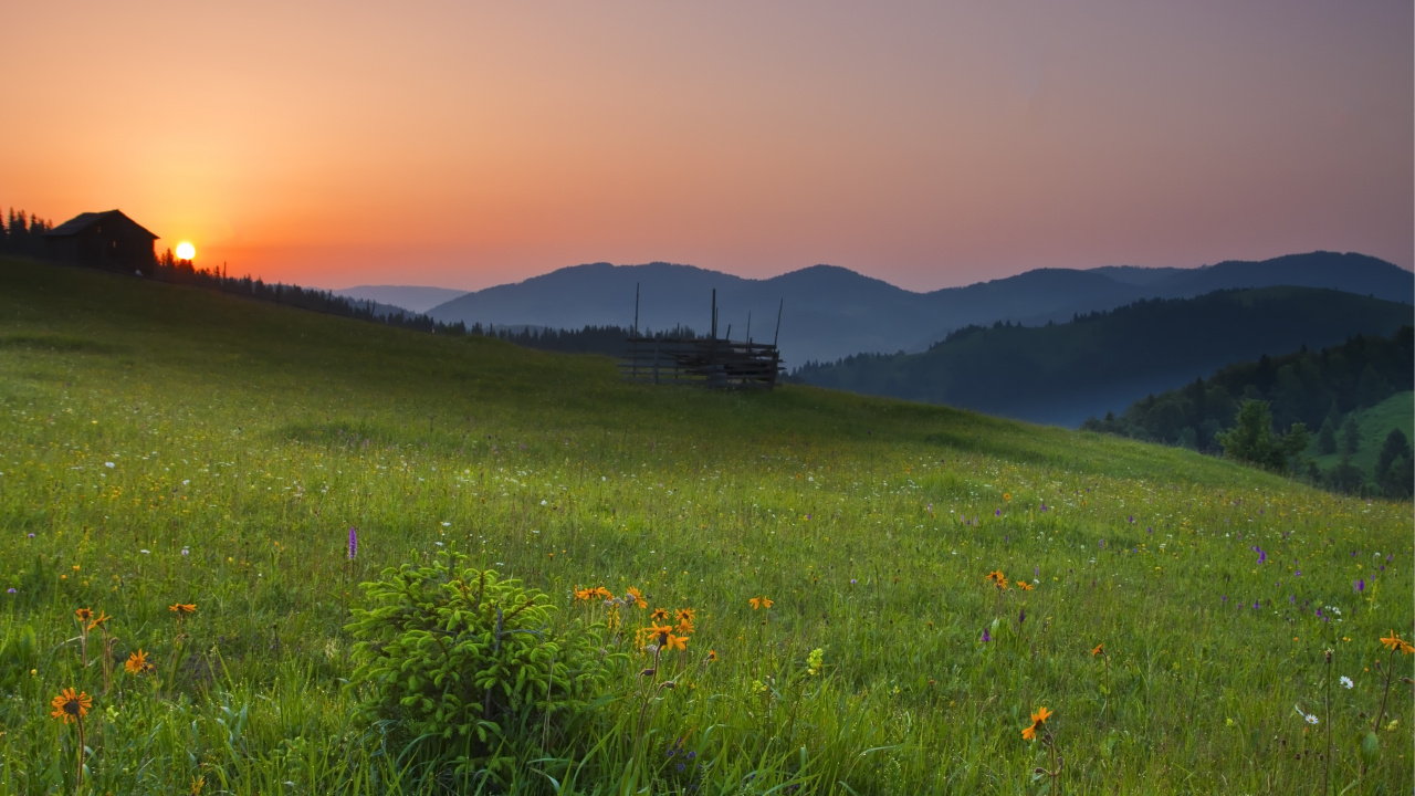Обои сенокосное угодье, природа, луг, природный ландшафт, окружающая среда в разрешении 1280x720