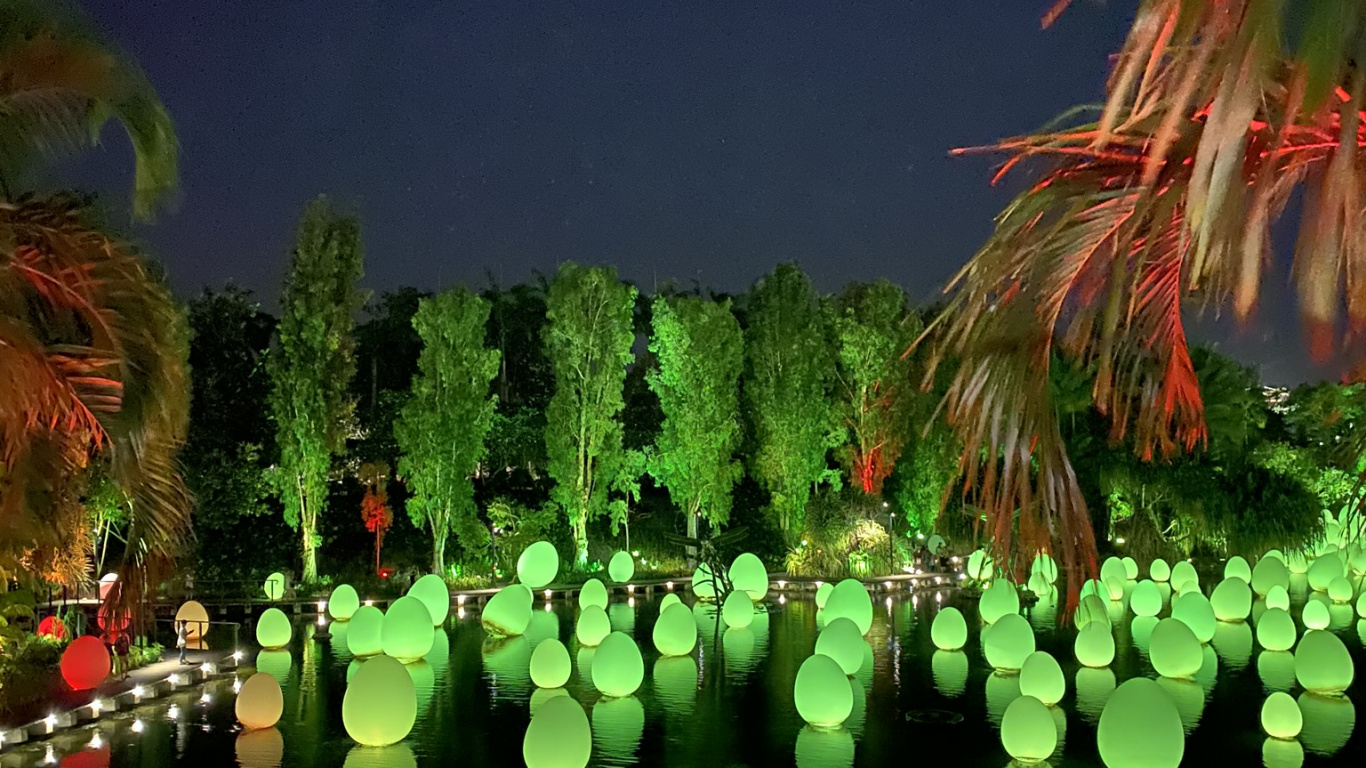 Обои природа, ландшафтное освещение, зеленый, отражение, Пальма в разрешении 1366x768