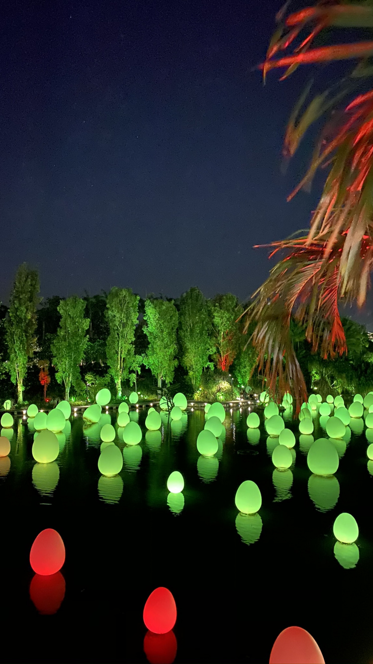 Обои природа, ландшафтное освещение, зеленый, отражение, Пальма в разрешении 750x1334