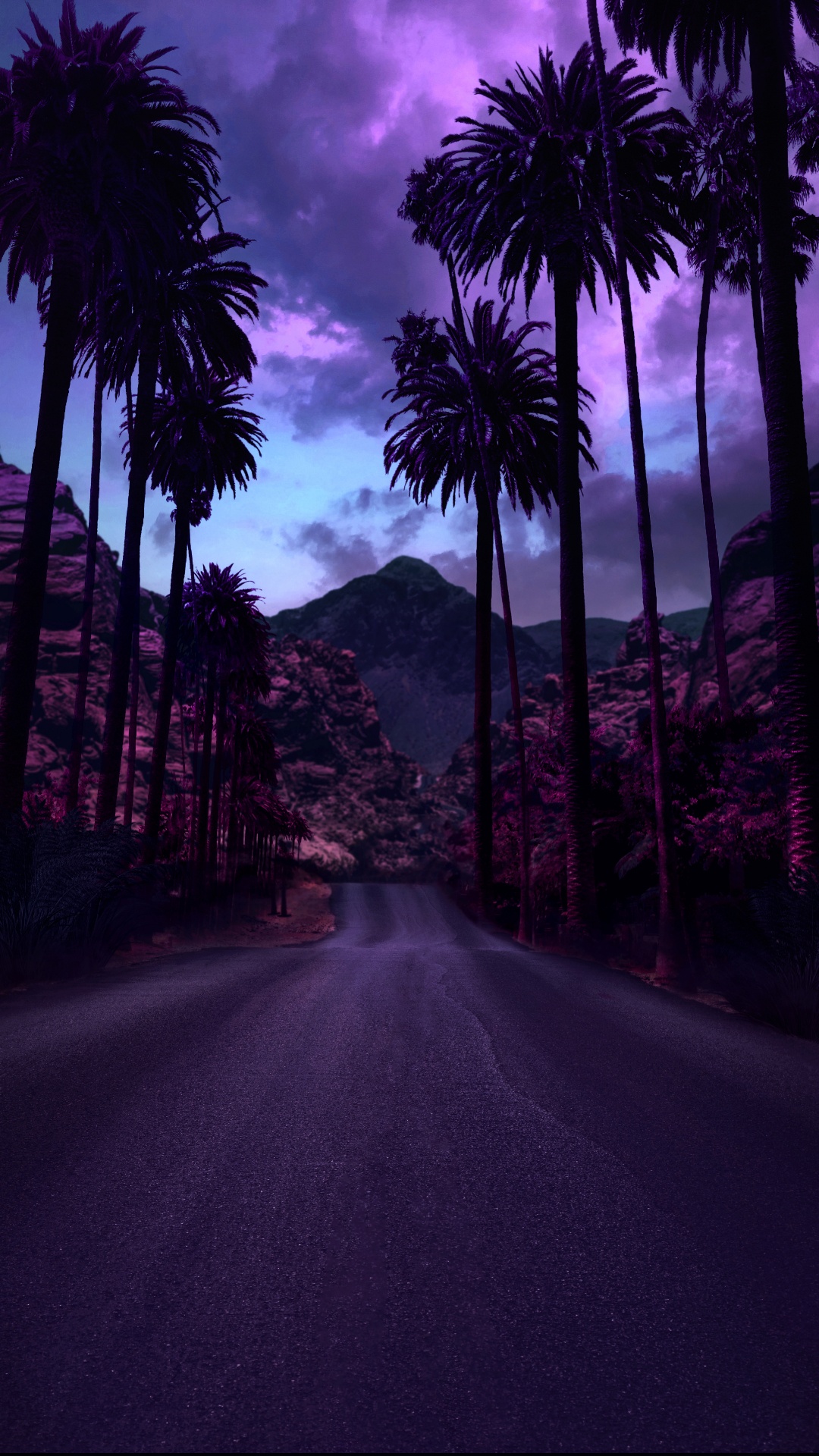 Обои дерево, свет, цветной, облако, растение в разрешении 1080x1920