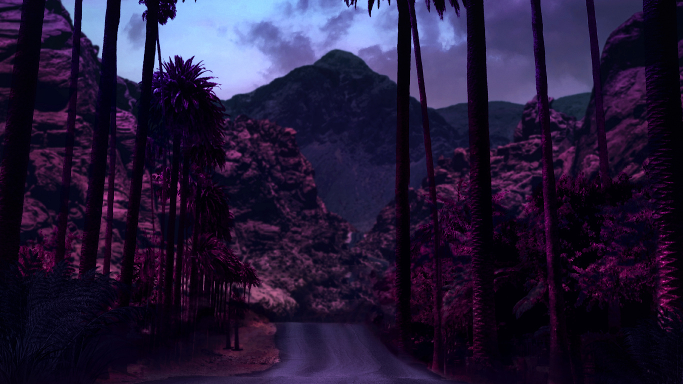 Обои дерево, свет, цветной, облако, растение в разрешении 1366x768