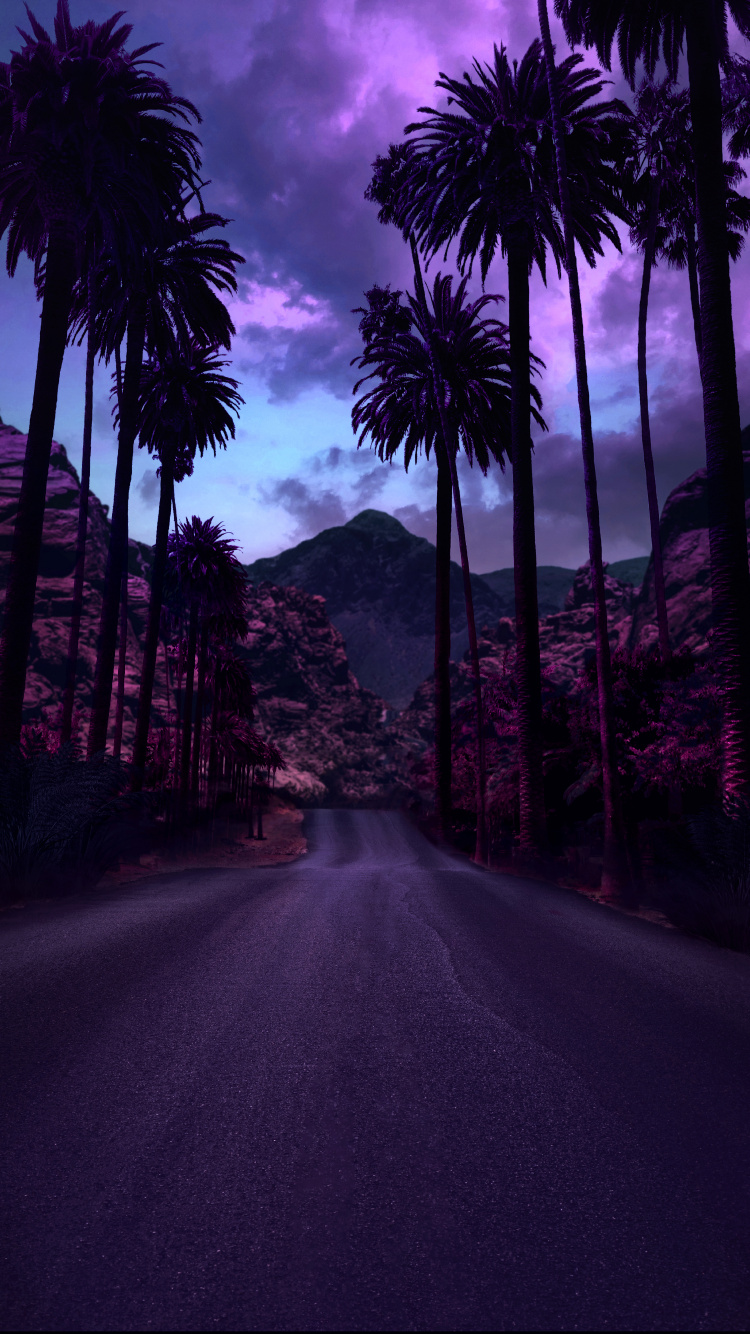 Обои дерево, свет, цветной, облако, растение в разрешении 750x1334